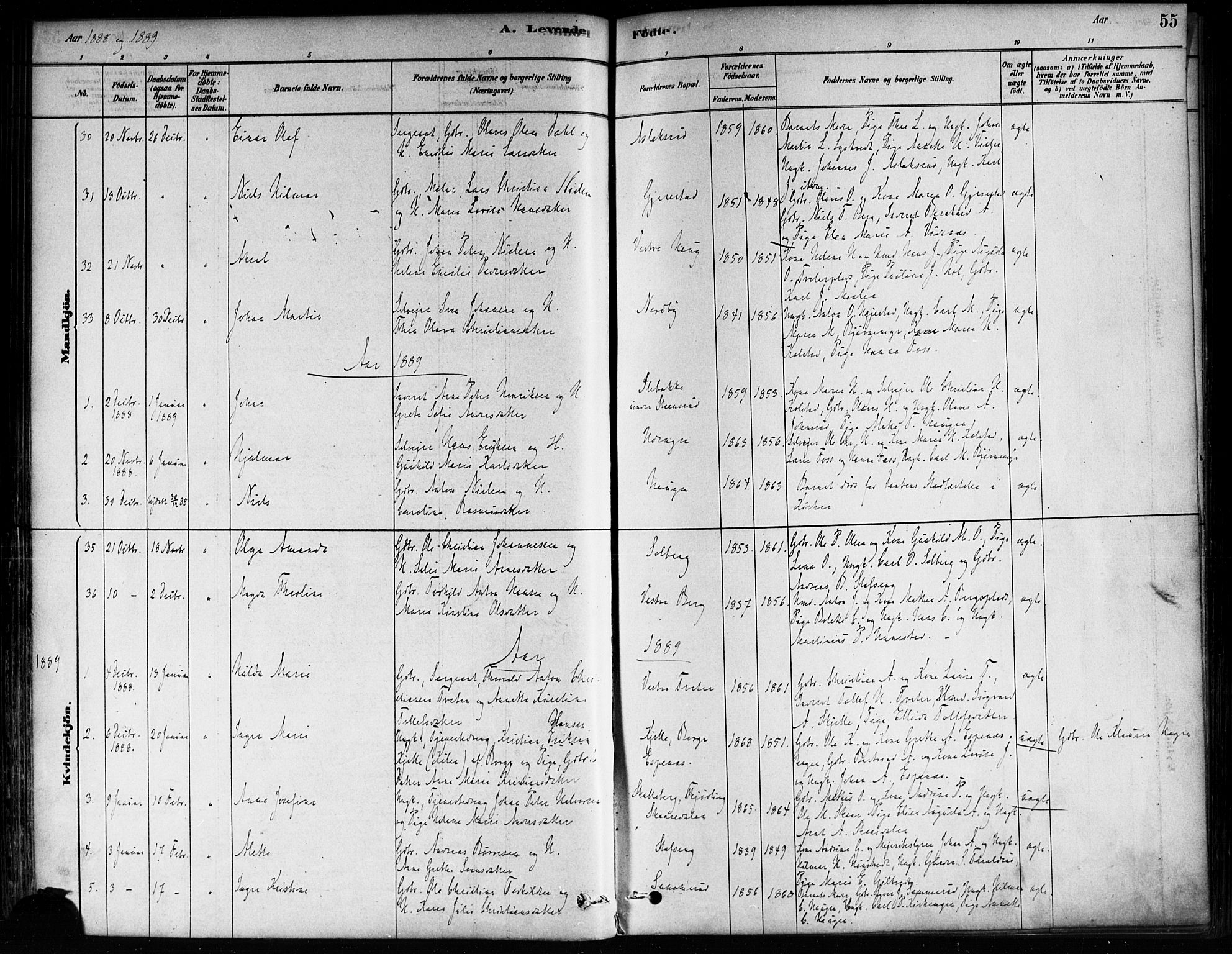 Skiptvet prestekontor Kirkebøker, AV/SAO-A-20009/F/Fa/L0009: Ministerialbok nr. 9, 1878-1900, s. 55