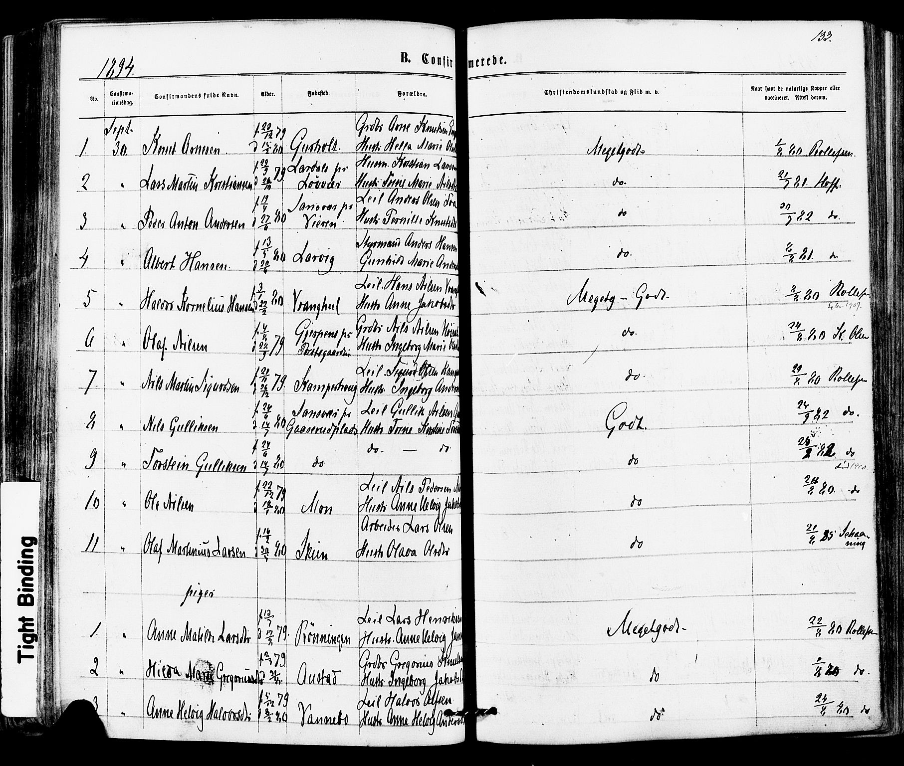 Siljan kirkebøker, AV/SAKO-A-300/F/Fa/L0002: Ministerialbok nr. 2, 1870-1895, s. 133