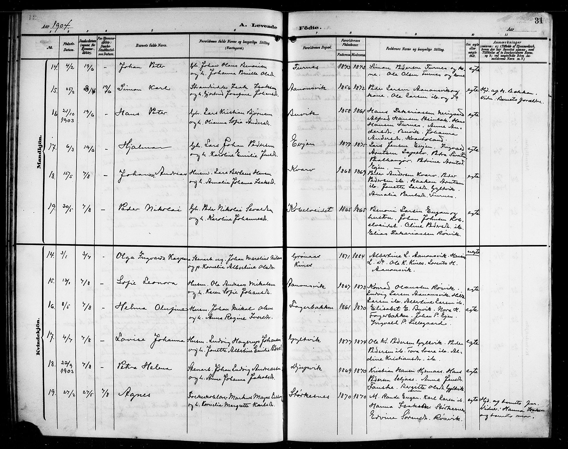 Ministerialprotokoller, klokkerbøker og fødselsregistre - Nordland, AV/SAT-A-1459/854/L0786: Klokkerbok nr. 854C02, 1901-1912, s. 31