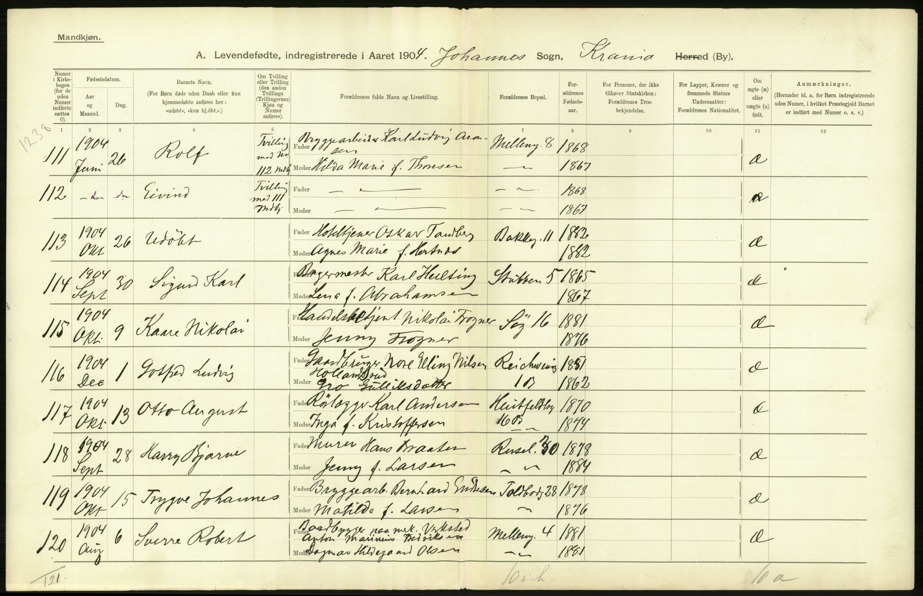 Statistisk sentralbyrå, Sosiodemografiske emner, Befolkning, AV/RA-S-2228/D/Df/Dfa/Dfab/L0003: Kristiania: Fødte, 1904, s. 230