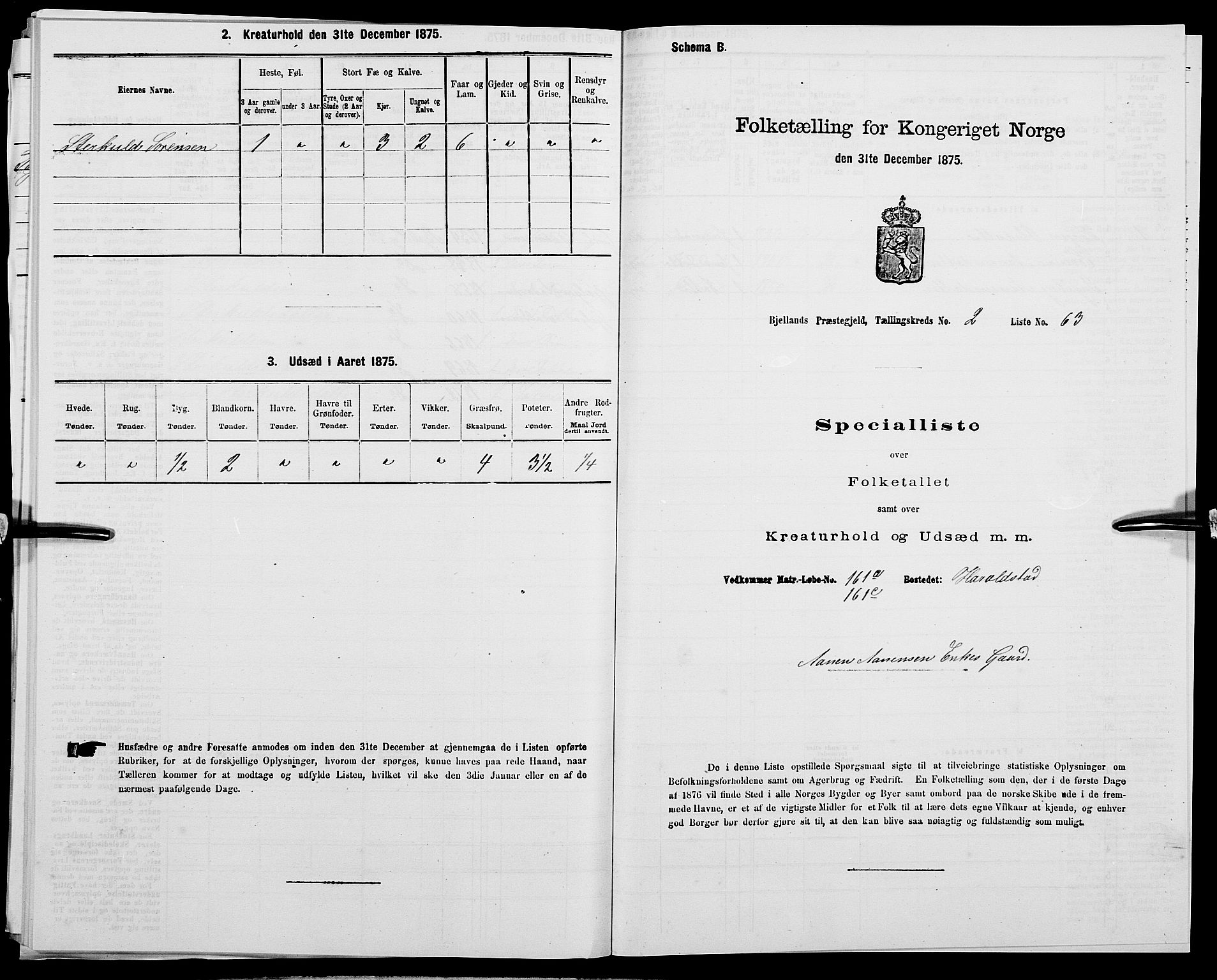 SAK, Folketelling 1875 for 1024P Bjelland prestegjeld, 1875, s. 257