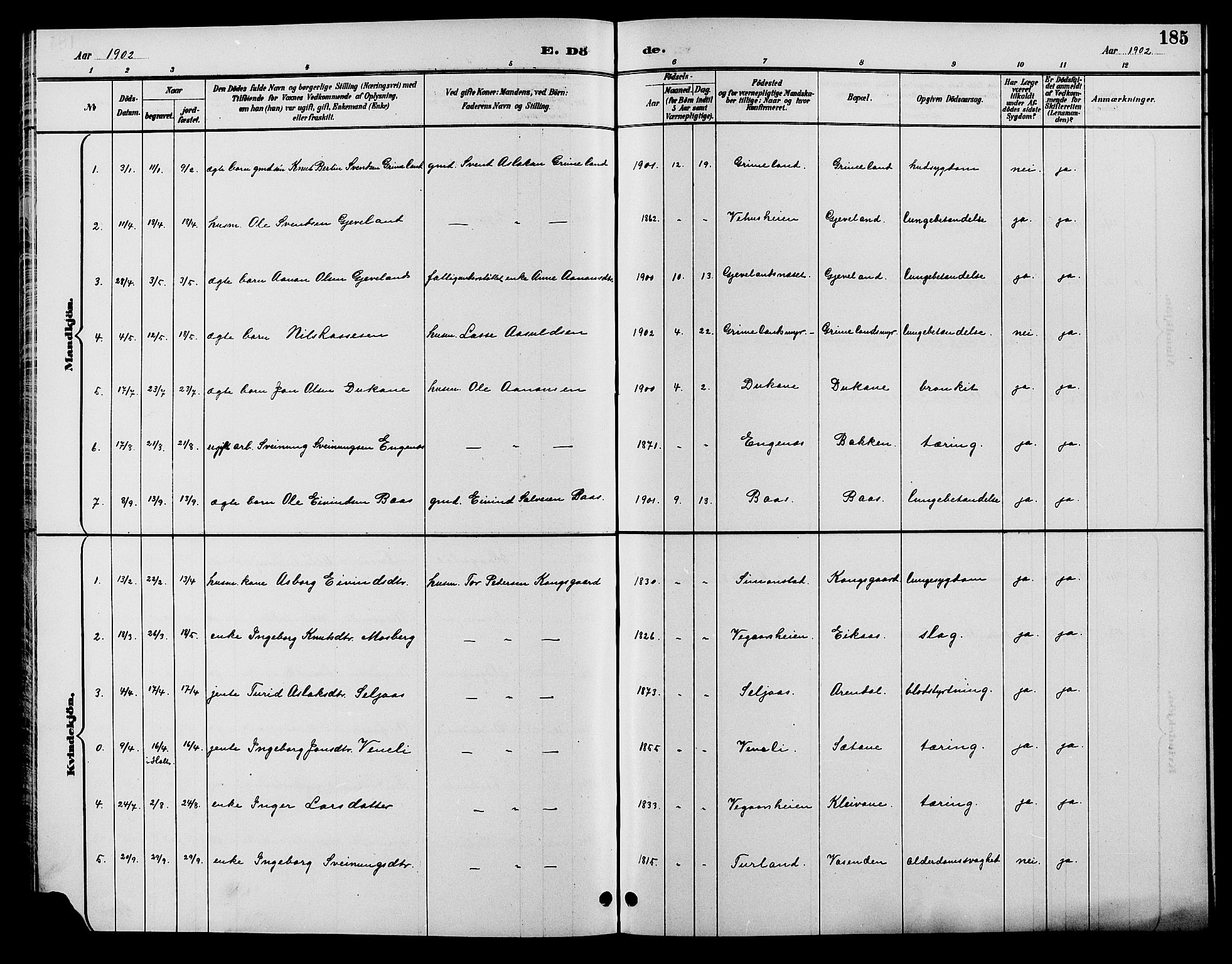 Åmli sokneprestkontor, SAK/1111-0050/F/Fb/Fbc/L0004: Klokkerbok nr. B 4, 1889-1902, s. 185