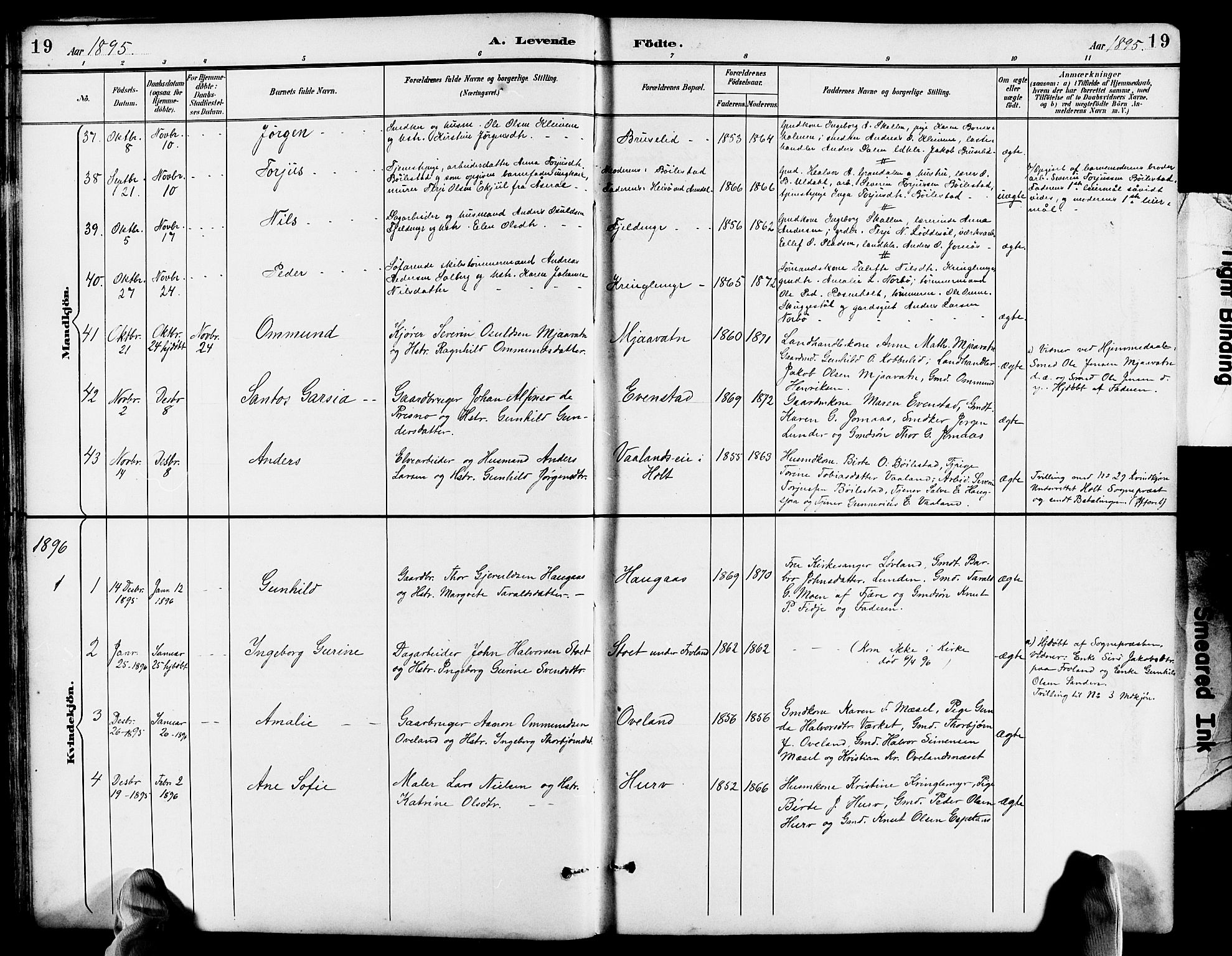 Froland sokneprestkontor, AV/SAK-1111-0013/F/Fb/L0010: Klokkerbok nr. B 10, 1893-1920, s. 19