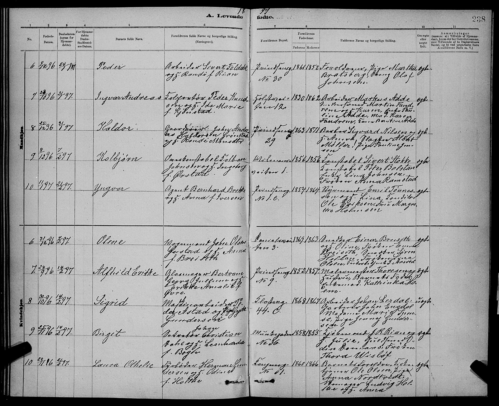 Ministerialprotokoller, klokkerbøker og fødselsregistre - Sør-Trøndelag, SAT/A-1456/601/L0092: Klokkerbok nr. 601C10, 1884-1897, s. 238