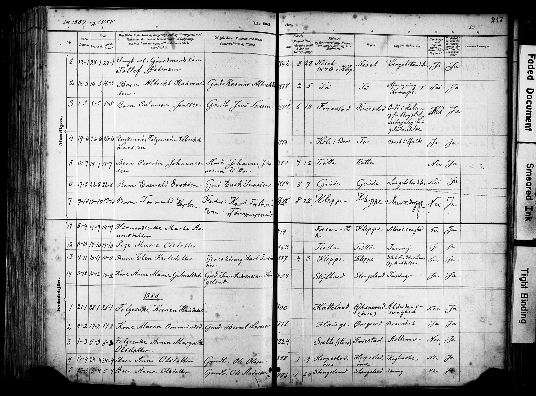 Klepp sokneprestkontor, AV/SAST-A-101803/001/30/300BA/L0009: Ministerialbok nr. A 7, 1886-1915, s. 247