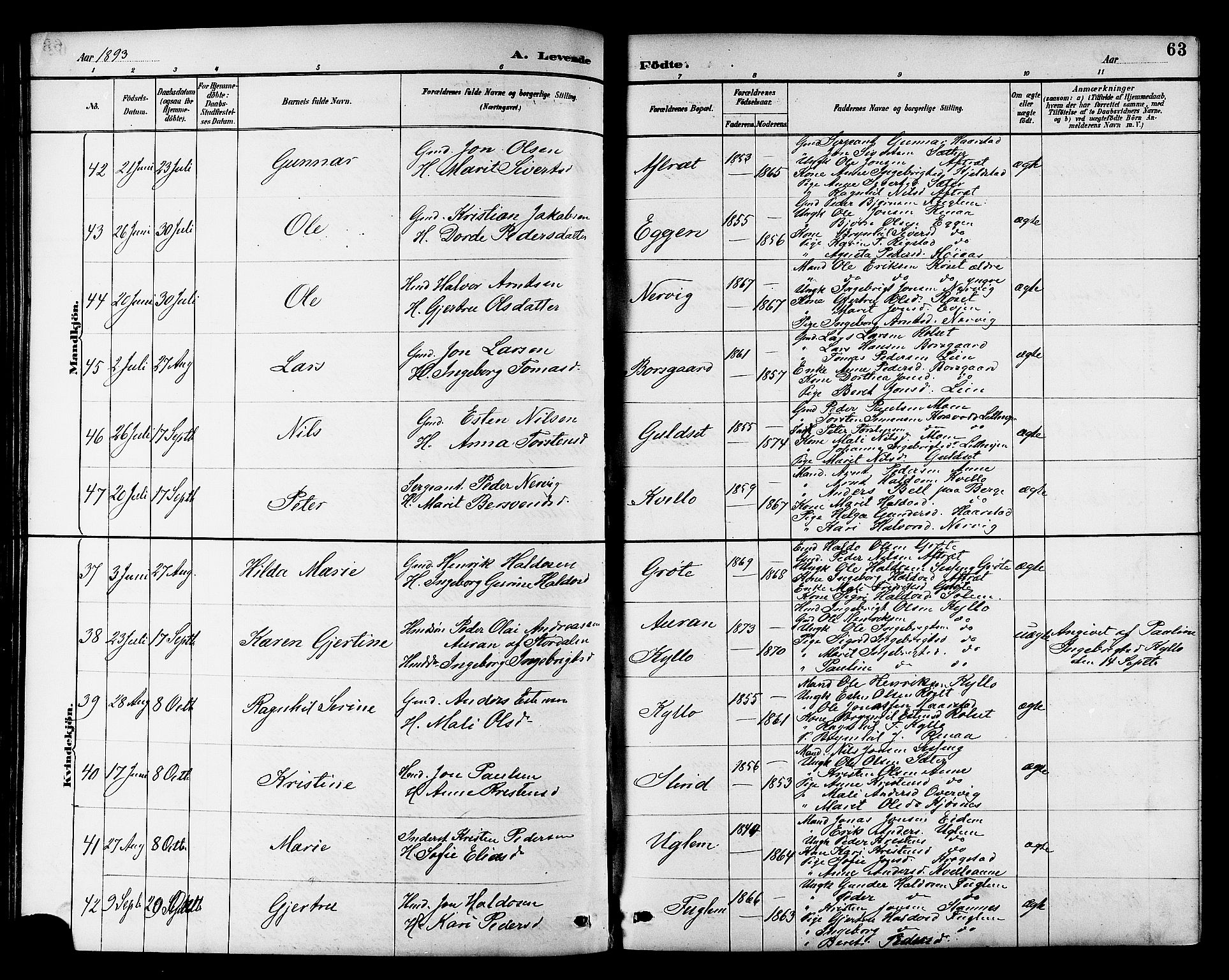 Ministerialprotokoller, klokkerbøker og fødselsregistre - Sør-Trøndelag, AV/SAT-A-1456/695/L1157: Klokkerbok nr. 695C08, 1889-1913, s. 63