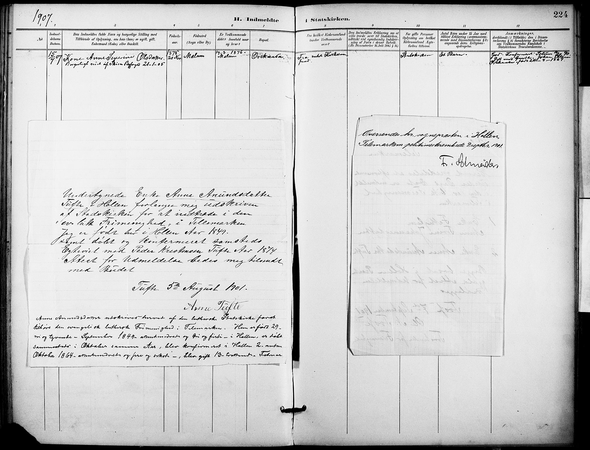 Holla kirkebøker, AV/SAKO-A-272/F/Fa/L0010: Ministerialbok nr. 10, 1897-1907, s. 224