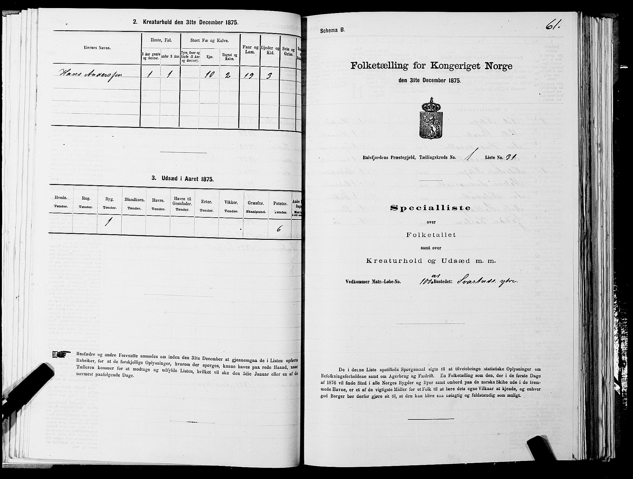 SATØ, Folketelling 1875 for 1933P Balsfjord prestegjeld, 1875, s. 1061