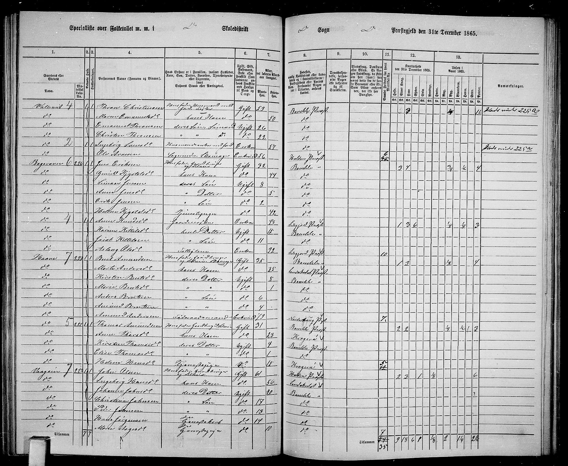 RA, Folketelling 1865 for 0814P Bamble prestegjeld, 1865, s. 125