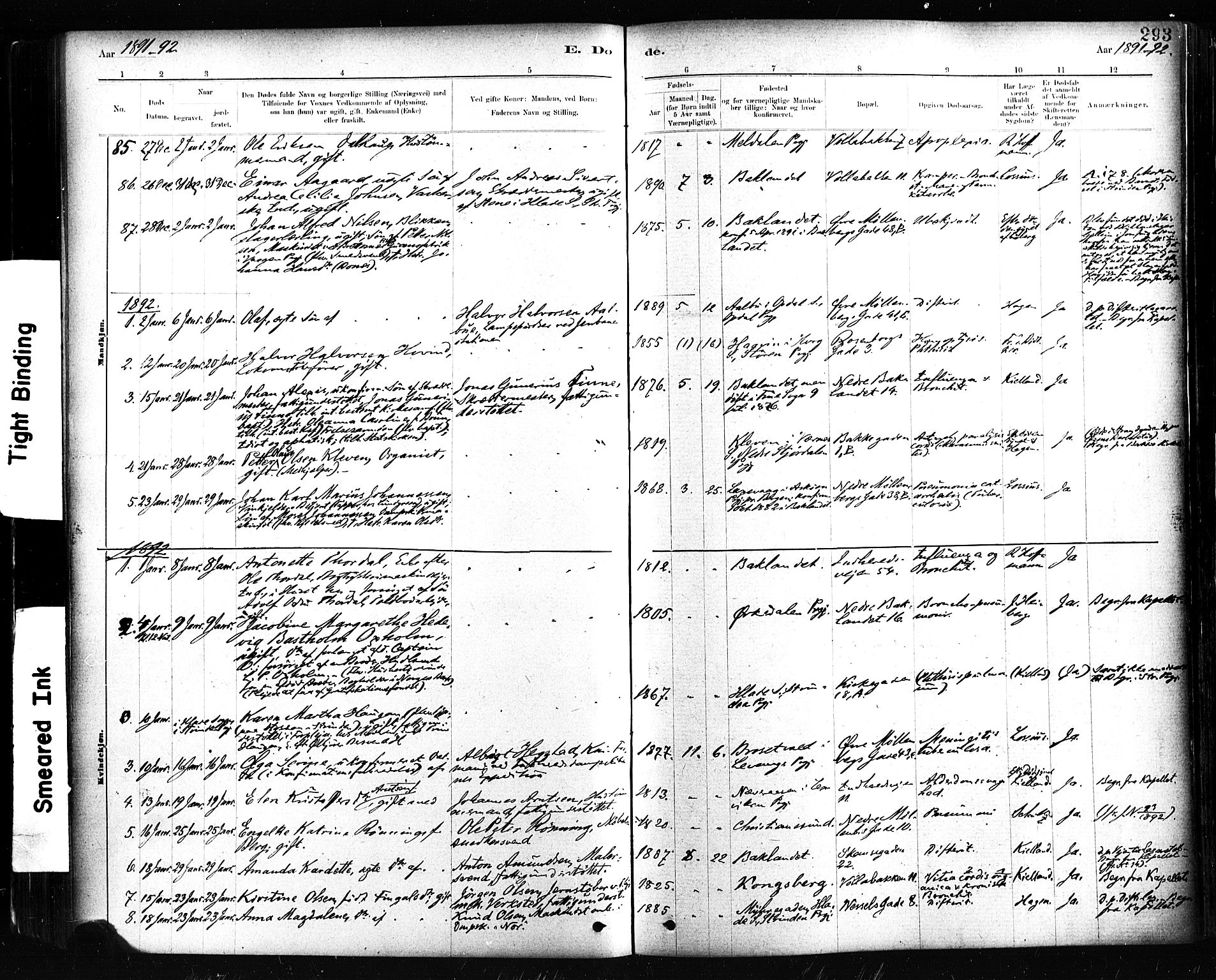 Ministerialprotokoller, klokkerbøker og fødselsregistre - Sør-Trøndelag, AV/SAT-A-1456/604/L0189: Ministerialbok nr. 604A10, 1878-1892, s. 293