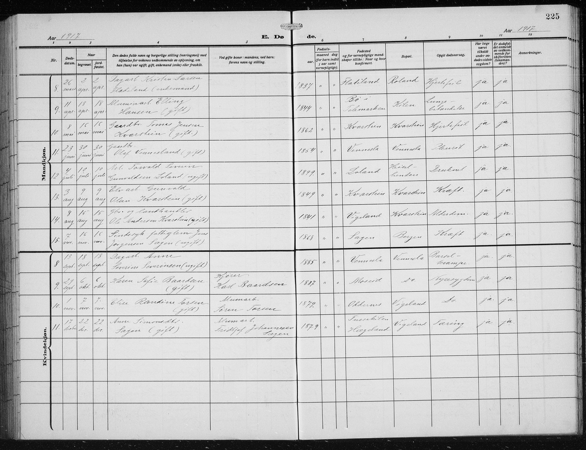 Vennesla sokneprestkontor, AV/SAK-1111-0045/Fb/Fbb/L0006: Klokkerbok nr. B 6, 1914-1921, s. 225