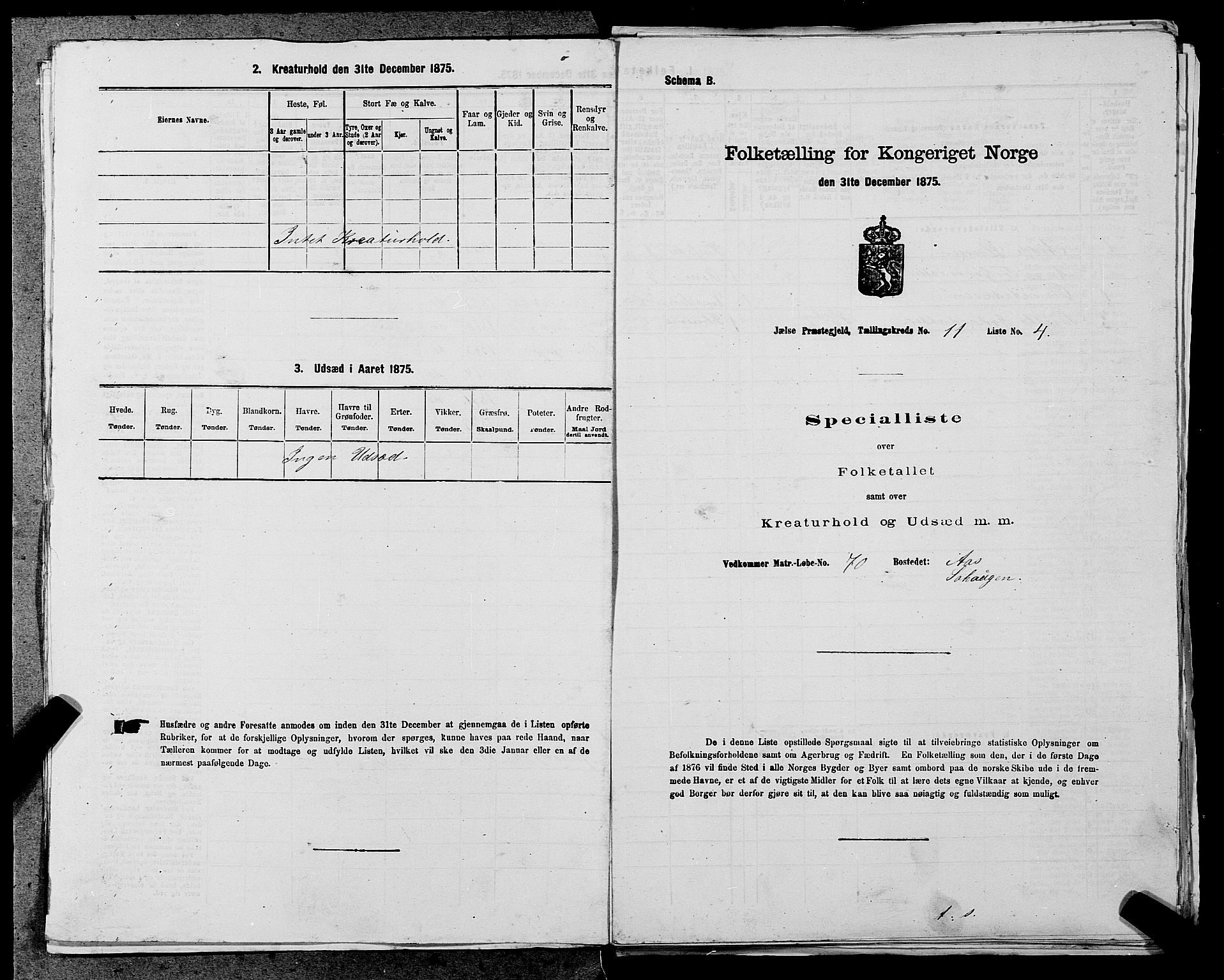 SAST, Folketelling 1875 for 1138P Jelsa prestegjeld, 1875, s. 980