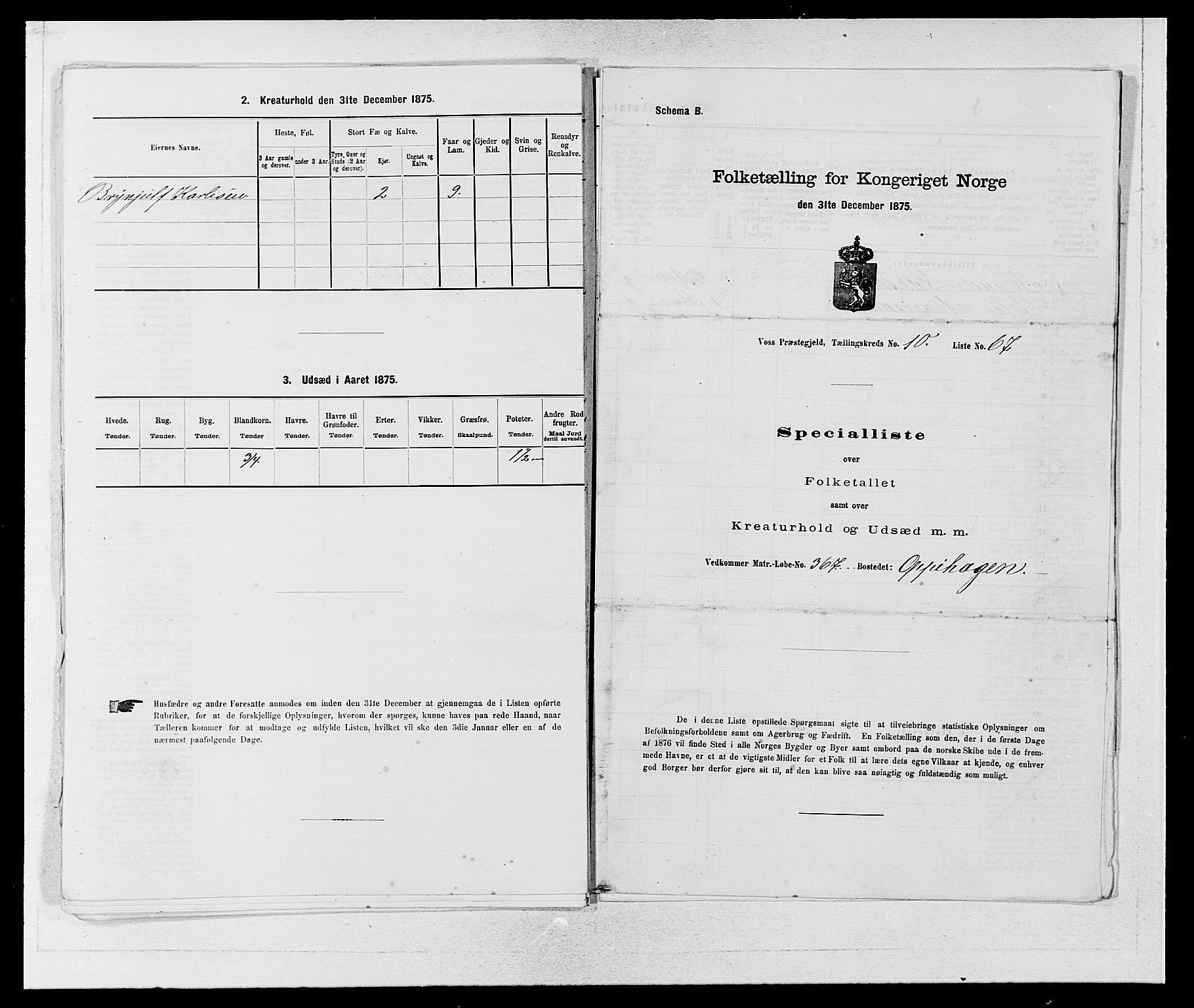 SAB, Folketelling 1875 for 1235P Voss prestegjeld, 1875, s. 1285