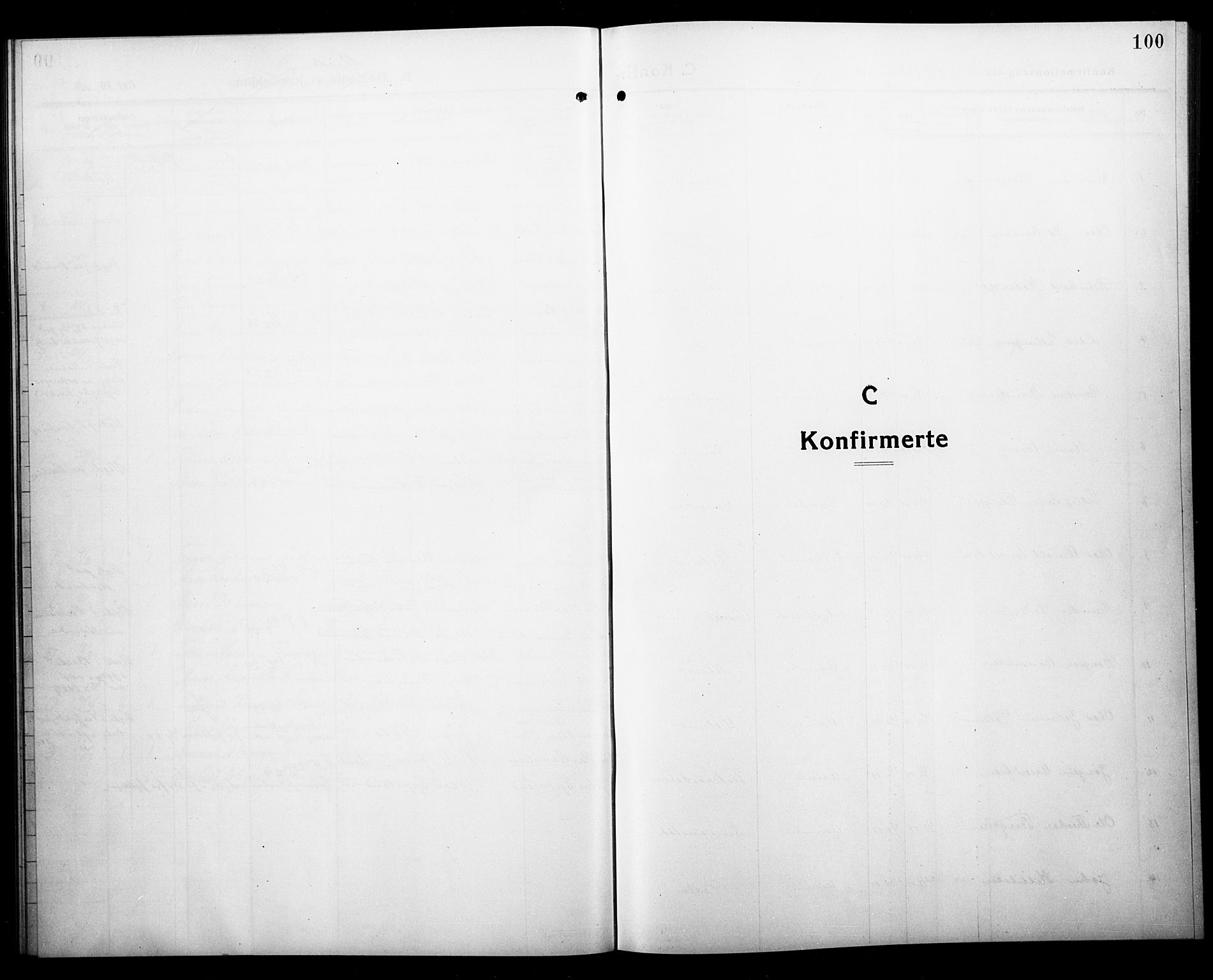 Åmli sokneprestkontor, SAK/1111-0050/F/Fb/Fbc/L0006: Klokkerbok nr. B 6, 1915-1929, s. 100