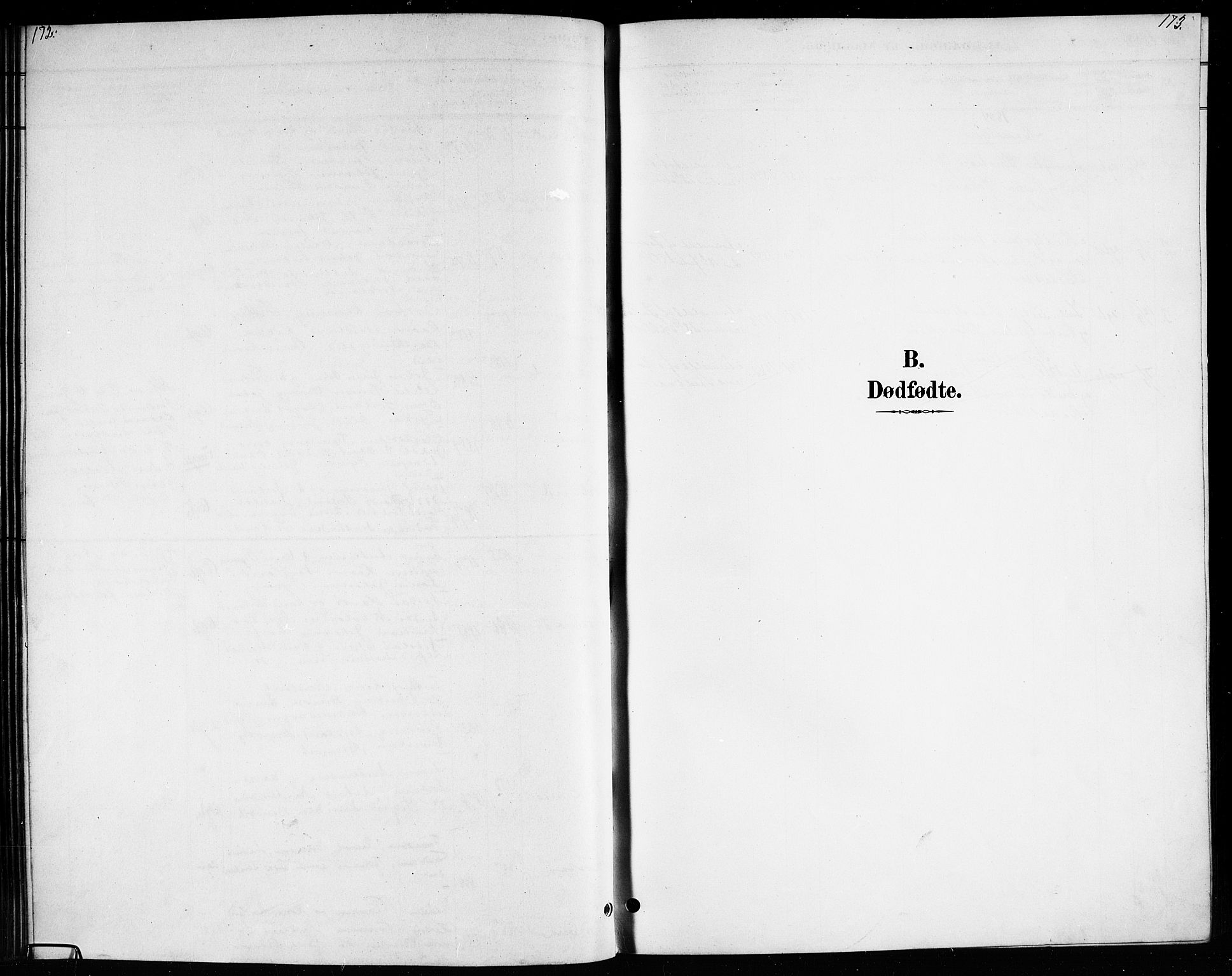 Ministerialprotokoller, klokkerbøker og fødselsregistre - Nordland, AV/SAT-A-1459/807/L0123: Klokkerbok nr. 807C01, 1884-1910, s. 172-173