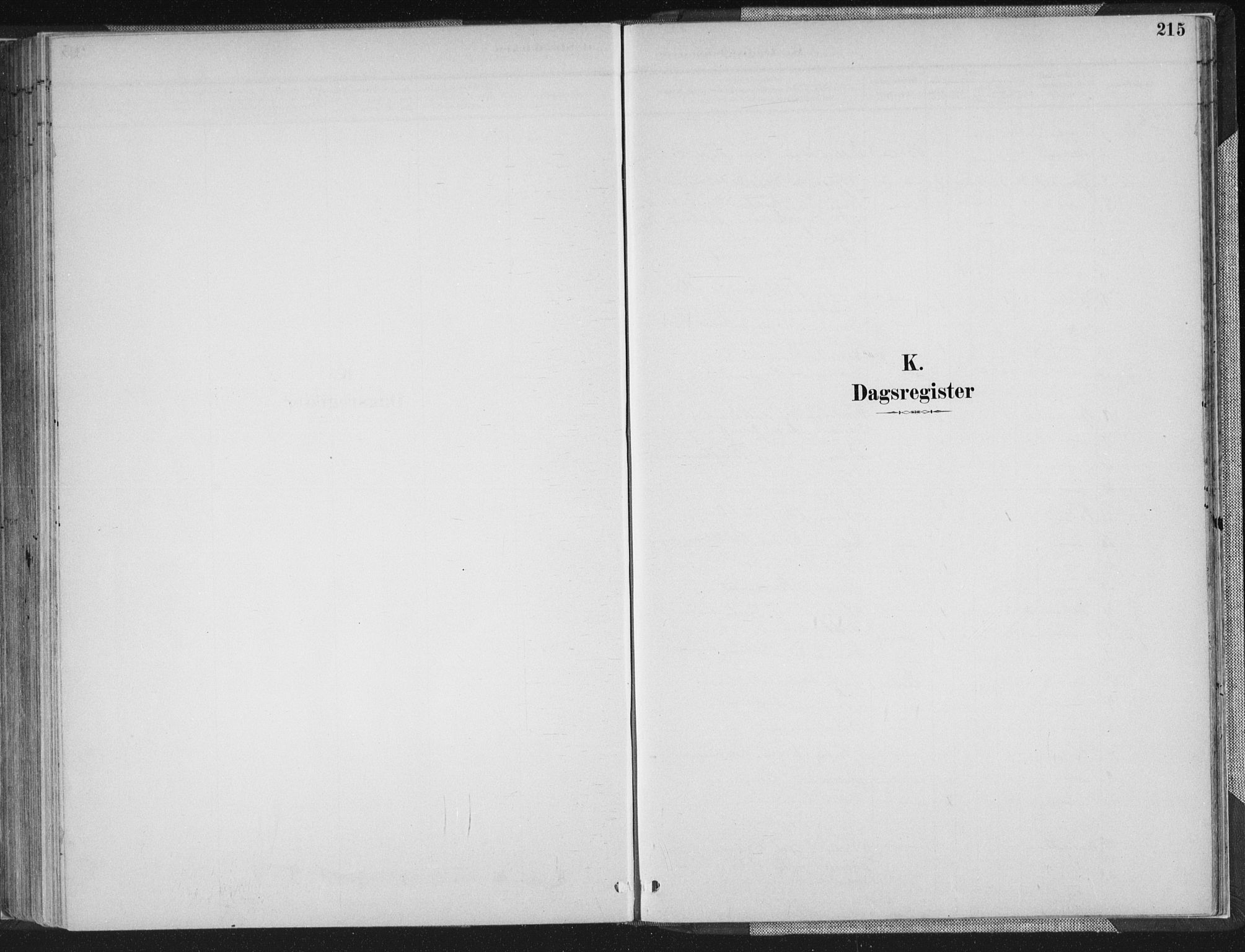 Sør-Audnedal sokneprestkontor, AV/SAK-1111-0039/F/Fa/Faa/L0004: Ministerialbok nr. A 4, 1884-1909, s. 215
