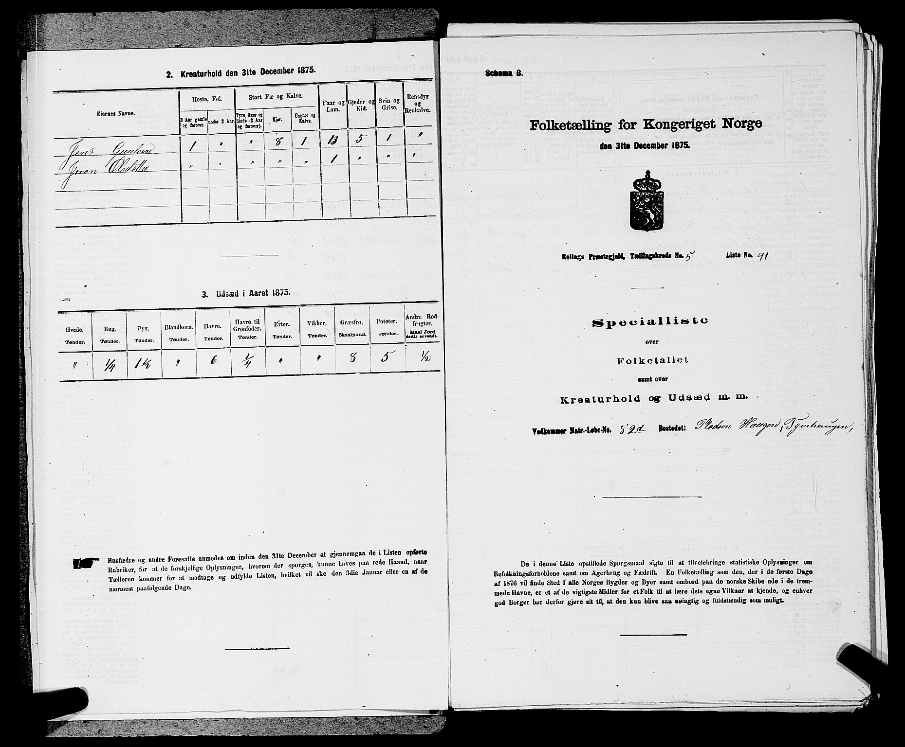 SAKO, Folketelling 1875 for 0632P Rollag prestegjeld, 1875, s. 287