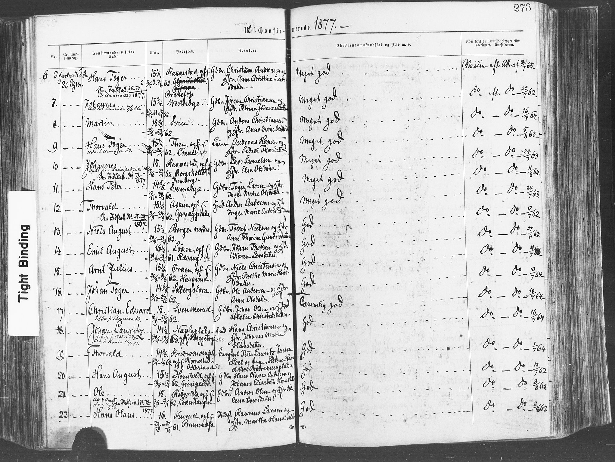 Eidsberg prestekontor Kirkebøker, AV/SAO-A-10905/F/Fa/L0011: Ministerialbok nr. I 11, 1867-1878, s. 273