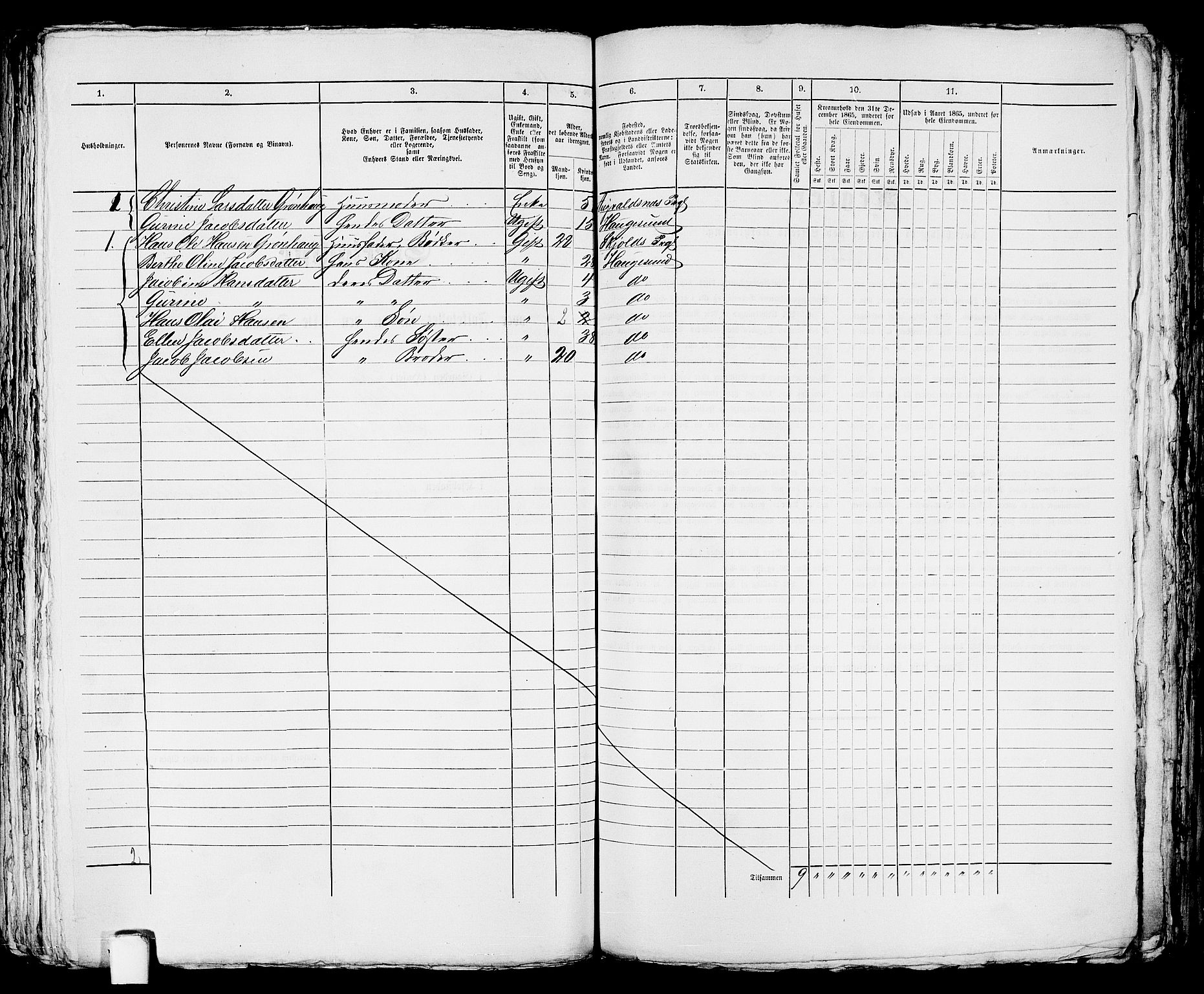 RA, Folketelling 1865 for 1106B Torvastad prestegjeld, Haugesund ladested, 1865, s. 372