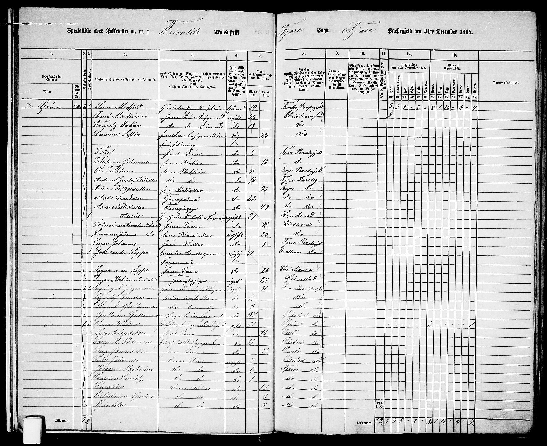 RA, Folketelling 1865 for 0923L Fjære prestegjeld, Fjære sokn, 1865, s. 14