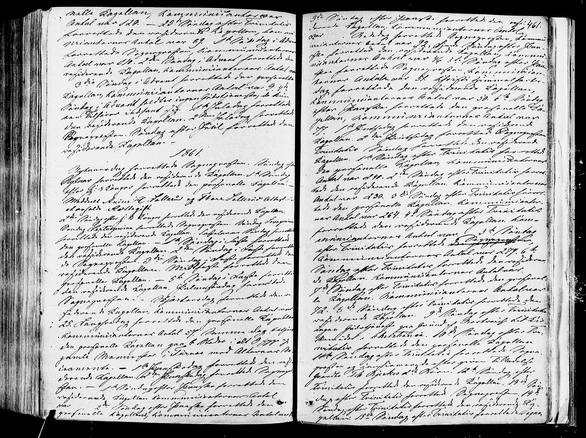 Vang prestekontor, Hedmark, AV/SAH-PREST-008/H/Ha/Haa/L0013: Ministerialbok nr. 13, 1855-1879, s. 461