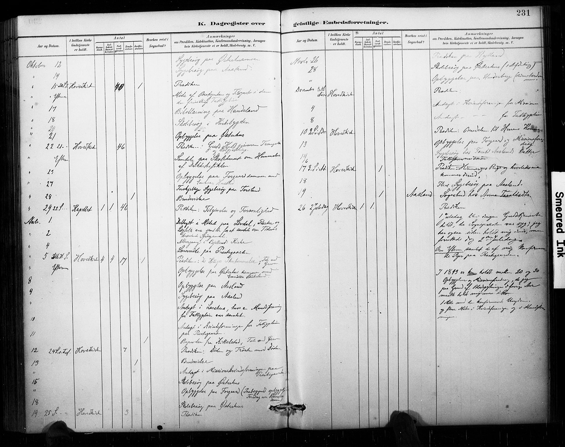 Åseral sokneprestkontor, AV/SAK-1111-0051/F/Fa/L0003: Ministerialbok nr. A 3, 1884-1901, s. 231