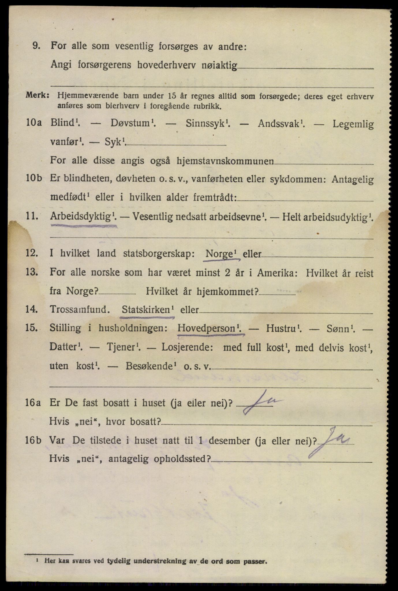 SAKO, Folketelling 1920 for 0819 Holla herred, 1920, s. 6088