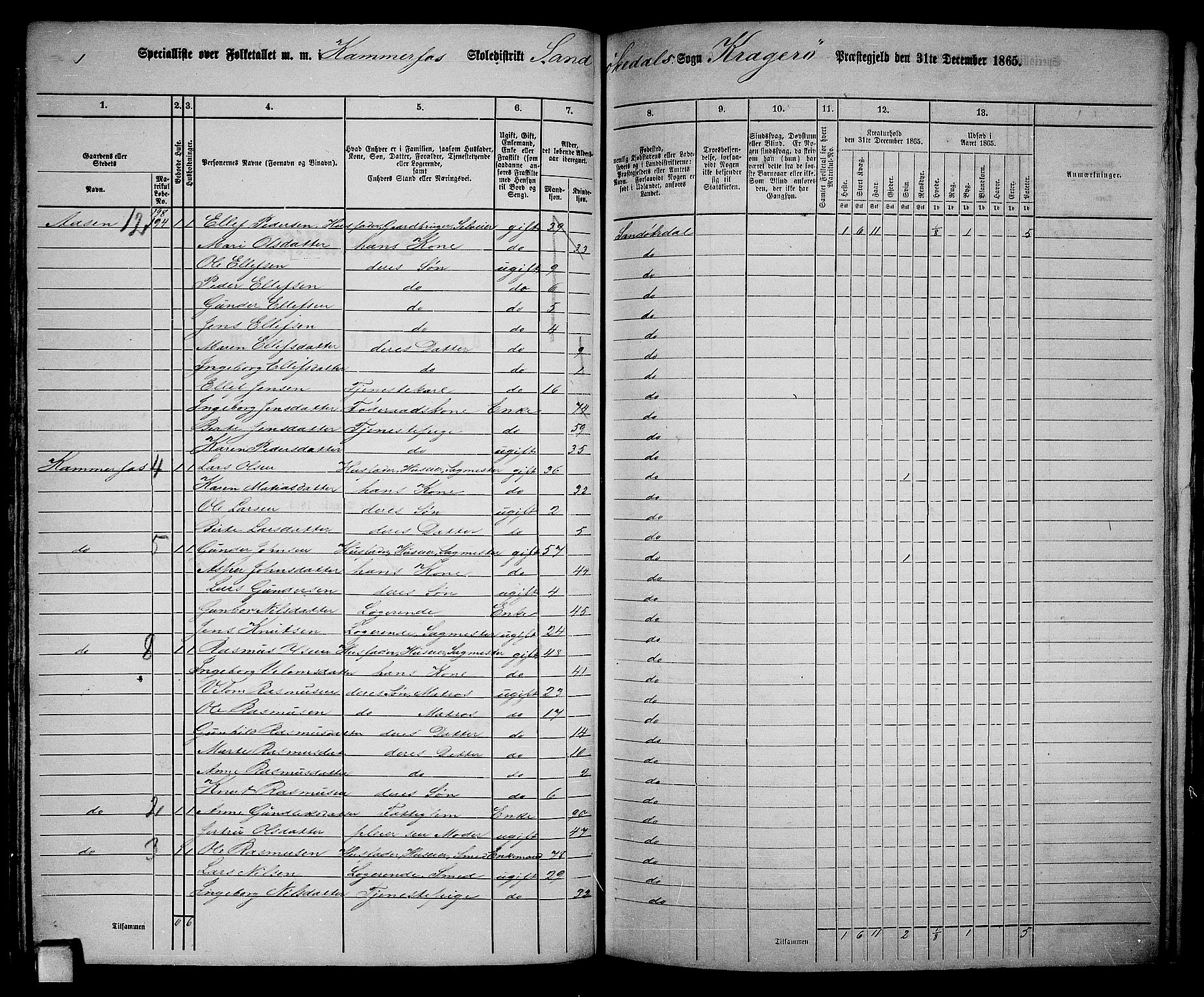 RA, Folketelling 1865 for 0816L Kragerø prestegjeld, Sannidal sokn og Skåtøy sokn, 1865, s. 78