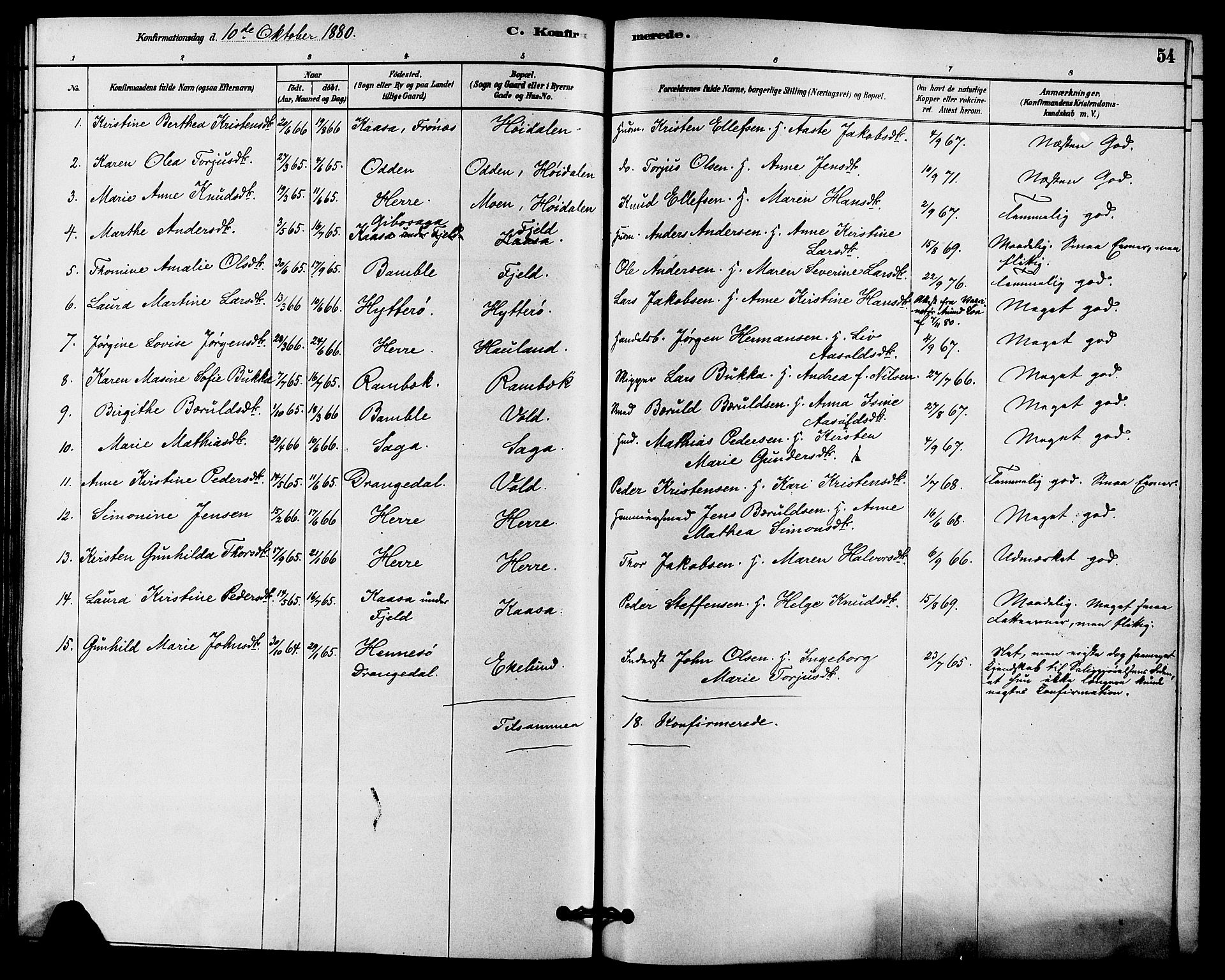 Solum kirkebøker, AV/SAKO-A-306/F/Fc/L0001: Ministerialbok nr. III 1, 1877-1891, s. 54