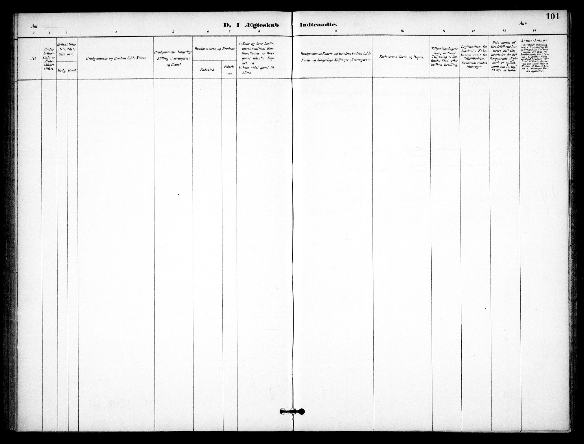 Nannestad prestekontor Kirkebøker, SAO/A-10414a/F/Fb/L0002: Ministerialbok nr. II 2, 1891-1909, s. 101
