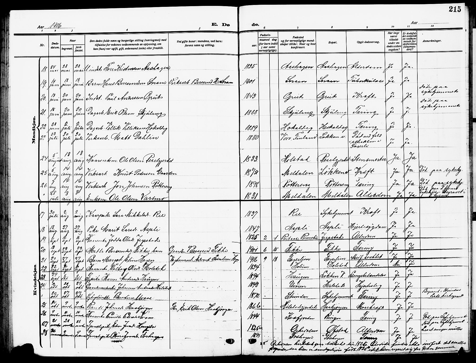 Ministerialprotokoller, klokkerbøker og fødselsregistre - Sør-Trøndelag, AV/SAT-A-1456/672/L0865: Klokkerbok nr. 672C04, 1914-1928, s. 215