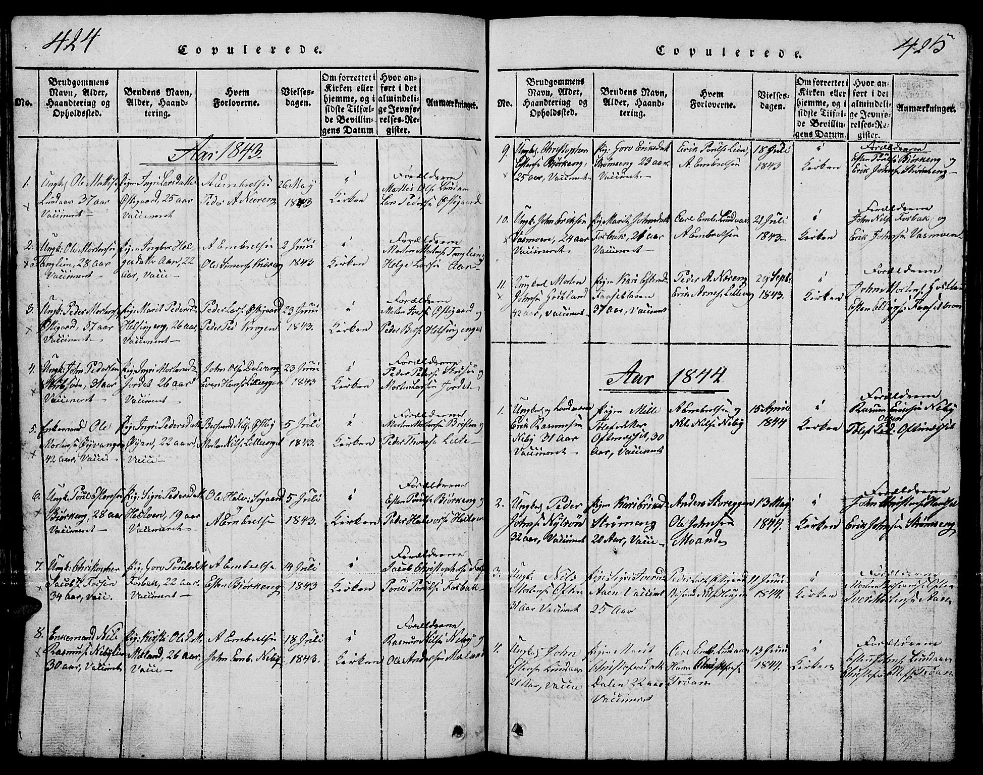 Tynset prestekontor, SAH/PREST-058/H/Ha/Hab/L0001: Klokkerbok nr. 1, 1814-1859, s. 424-425