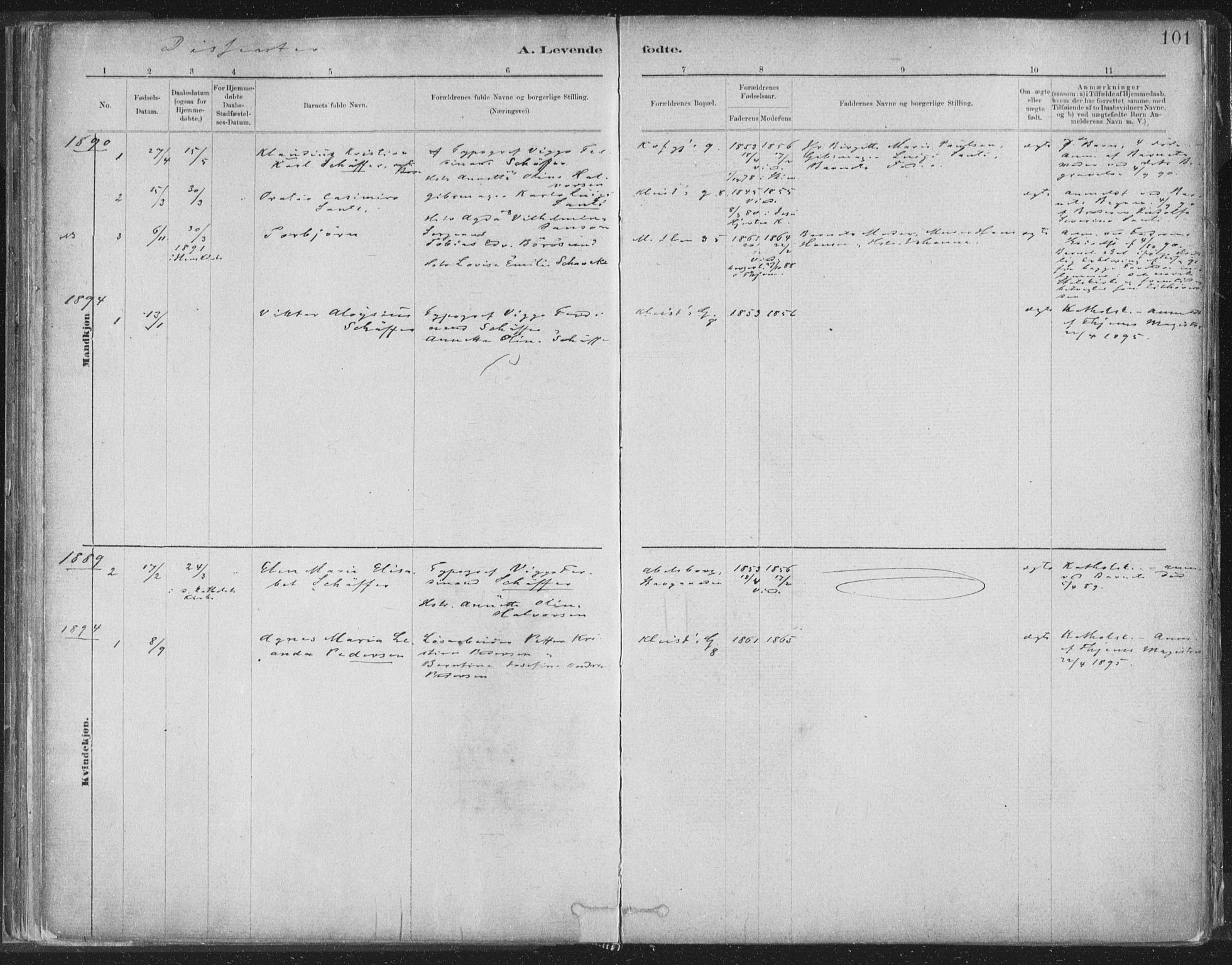 Ministerialprotokoller, klokkerbøker og fødselsregistre - Sør-Trøndelag, SAT/A-1456/603/L0162: Ministerialbok nr. 603A01, 1879-1895, s. 101