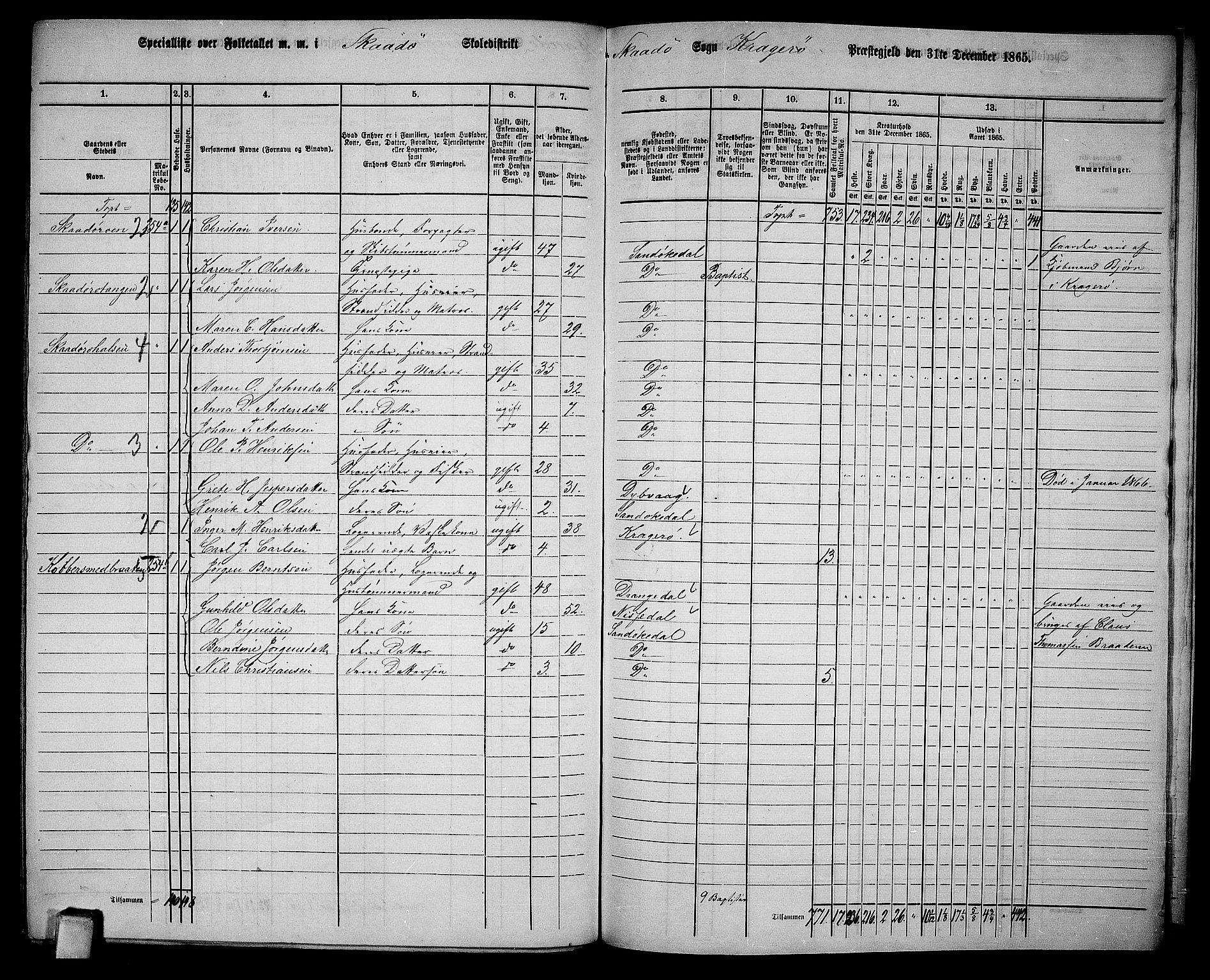 RA, Folketelling 1865 for 0816L Kragerø prestegjeld, Sannidal sokn og Skåtøy sokn, 1865, s. 208