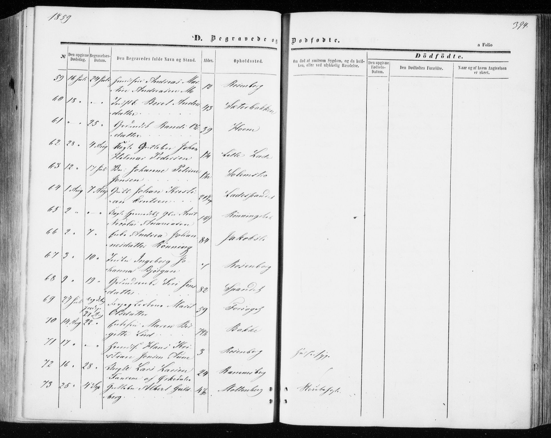 Ministerialprotokoller, klokkerbøker og fødselsregistre - Sør-Trøndelag, SAT/A-1456/606/L0292: Ministerialbok nr. 606A07, 1856-1865, s. 394