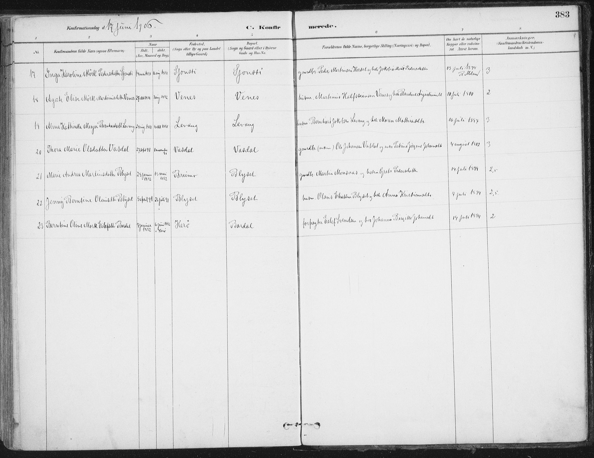 Ministerialprotokoller, klokkerbøker og fødselsregistre - Nordland, AV/SAT-A-1459/838/L0552: Ministerialbok nr. 838A10, 1880-1910, s. 383