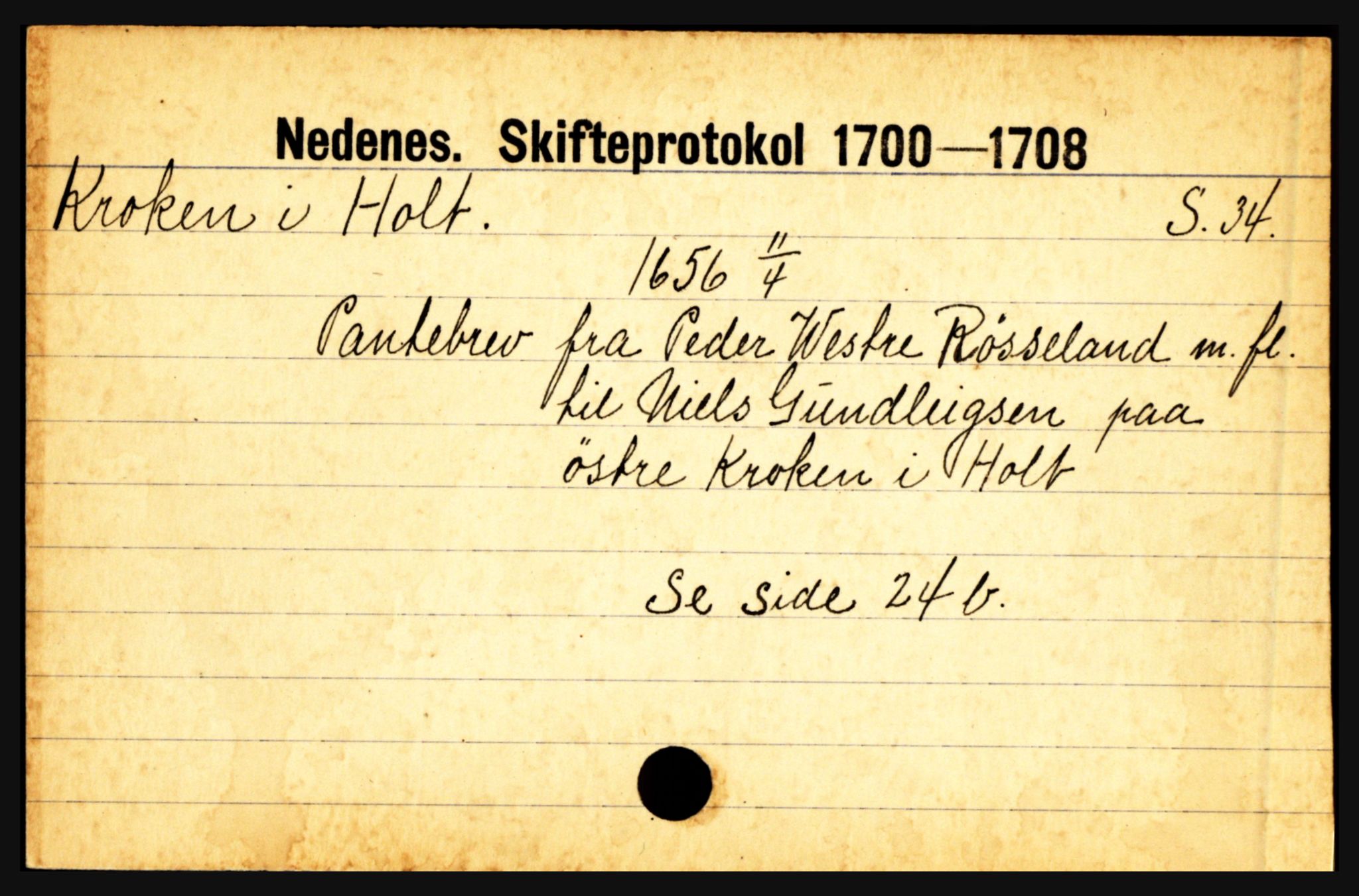 Nedenes sorenskriveri før 1824, AV/SAK-1221-0007/H, s. 15995