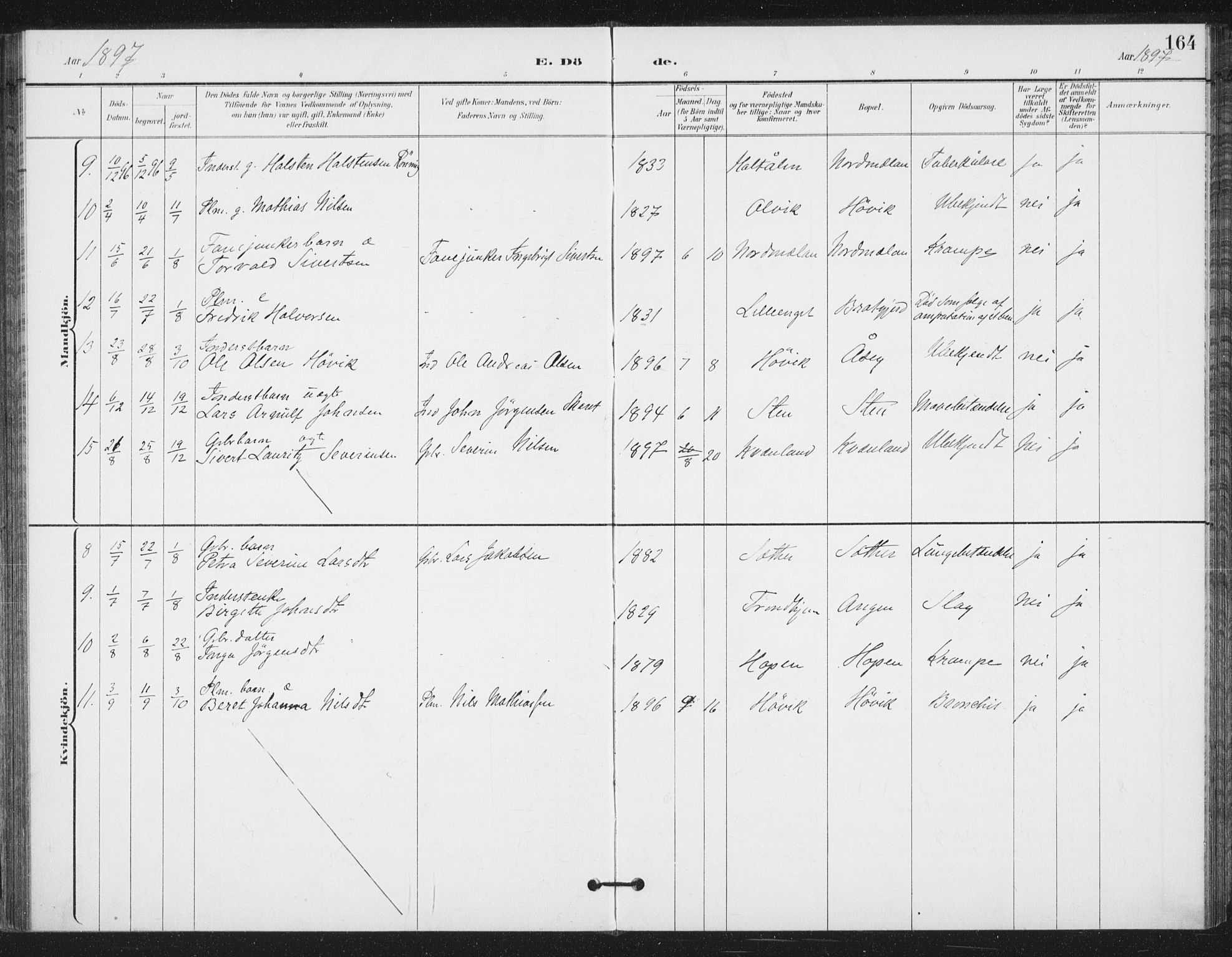 Ministerialprotokoller, klokkerbøker og fødselsregistre - Sør-Trøndelag, AV/SAT-A-1456/658/L0723: Ministerialbok nr. 658A02, 1897-1912, s. 164