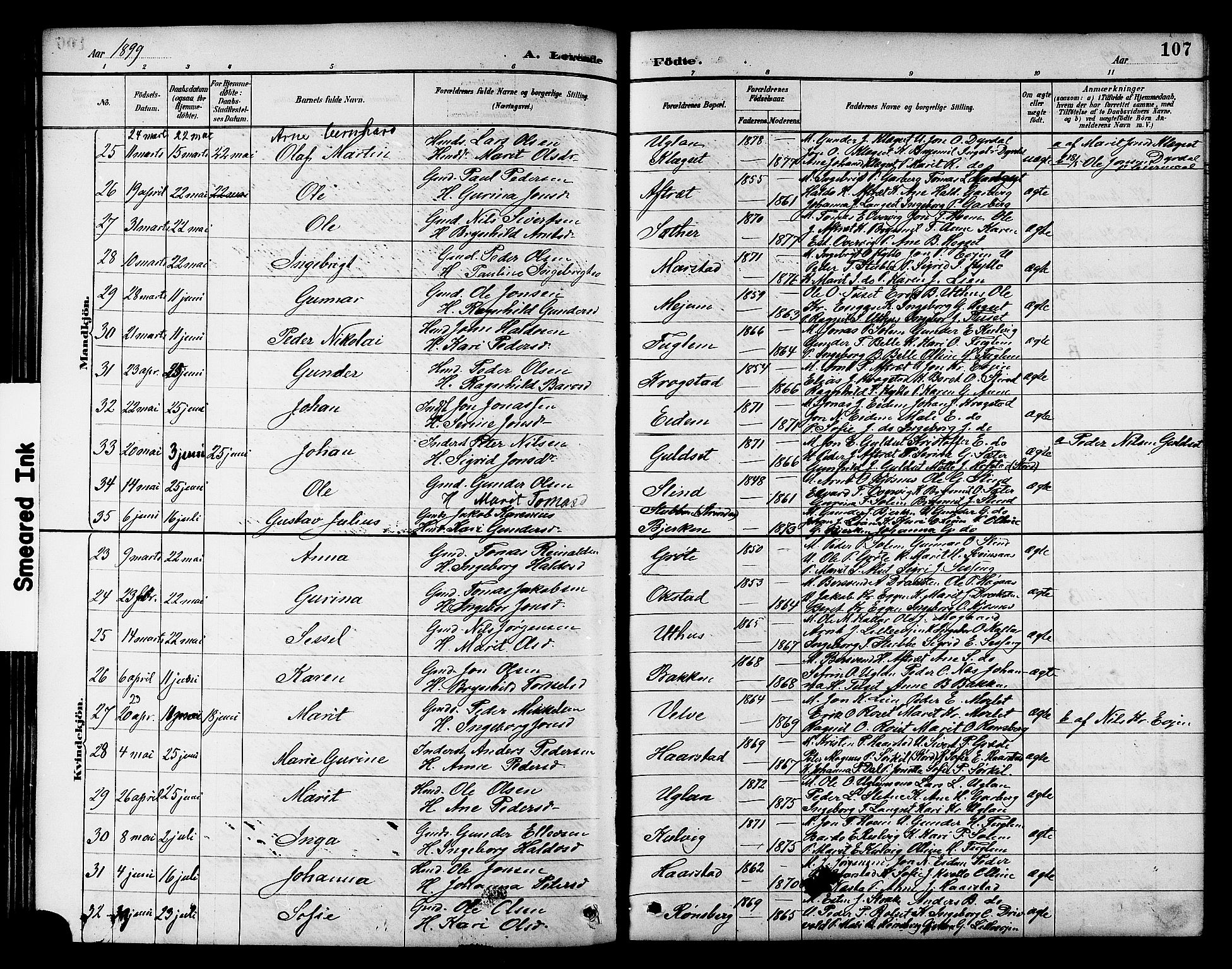 Ministerialprotokoller, klokkerbøker og fødselsregistre - Sør-Trøndelag, SAT/A-1456/695/L1157: Klokkerbok nr. 695C08, 1889-1913, s. 107