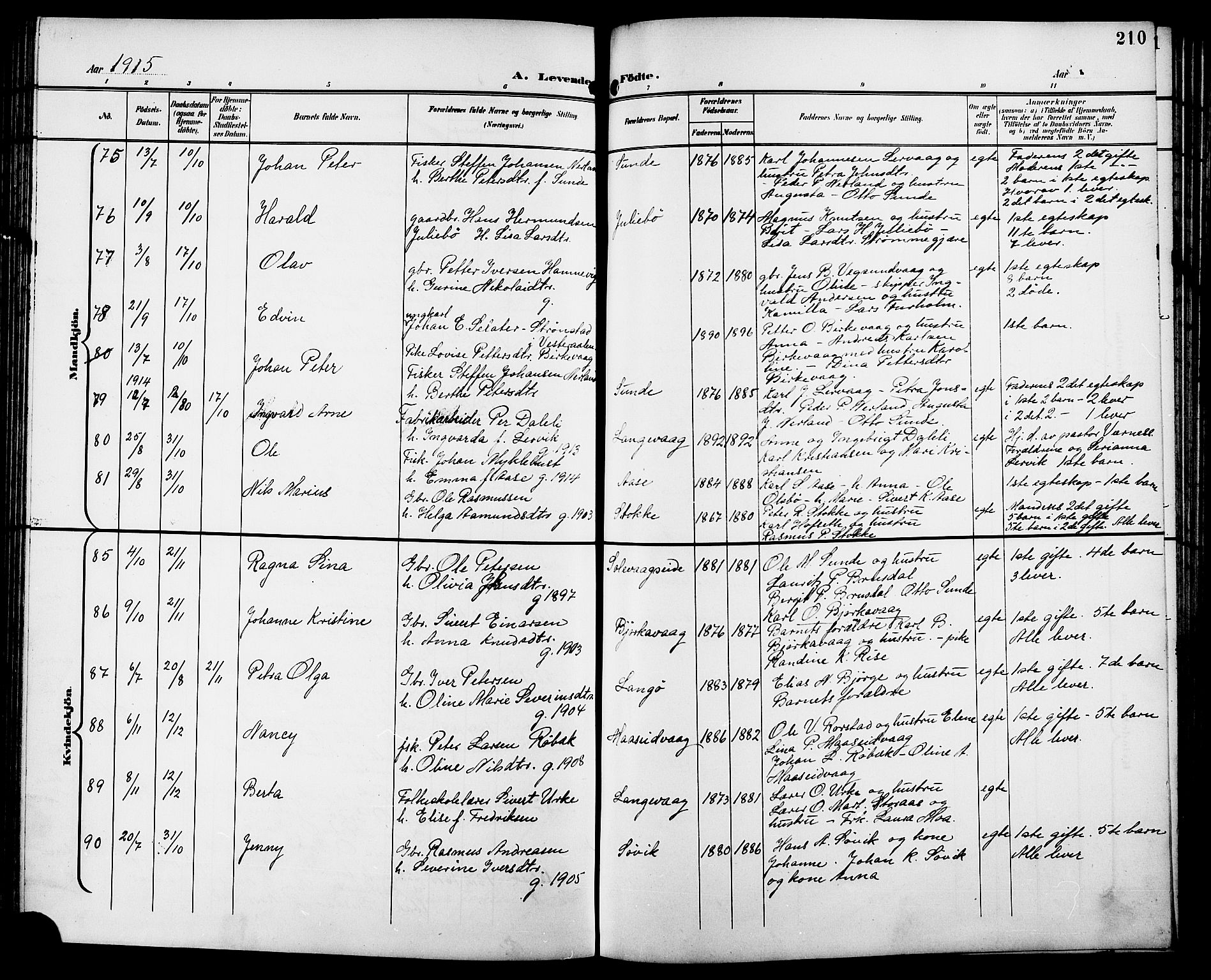 Ministerialprotokoller, klokkerbøker og fødselsregistre - Møre og Romsdal, AV/SAT-A-1454/528/L0432: Klokkerbok nr. 528C13, 1898-1918, s. 210