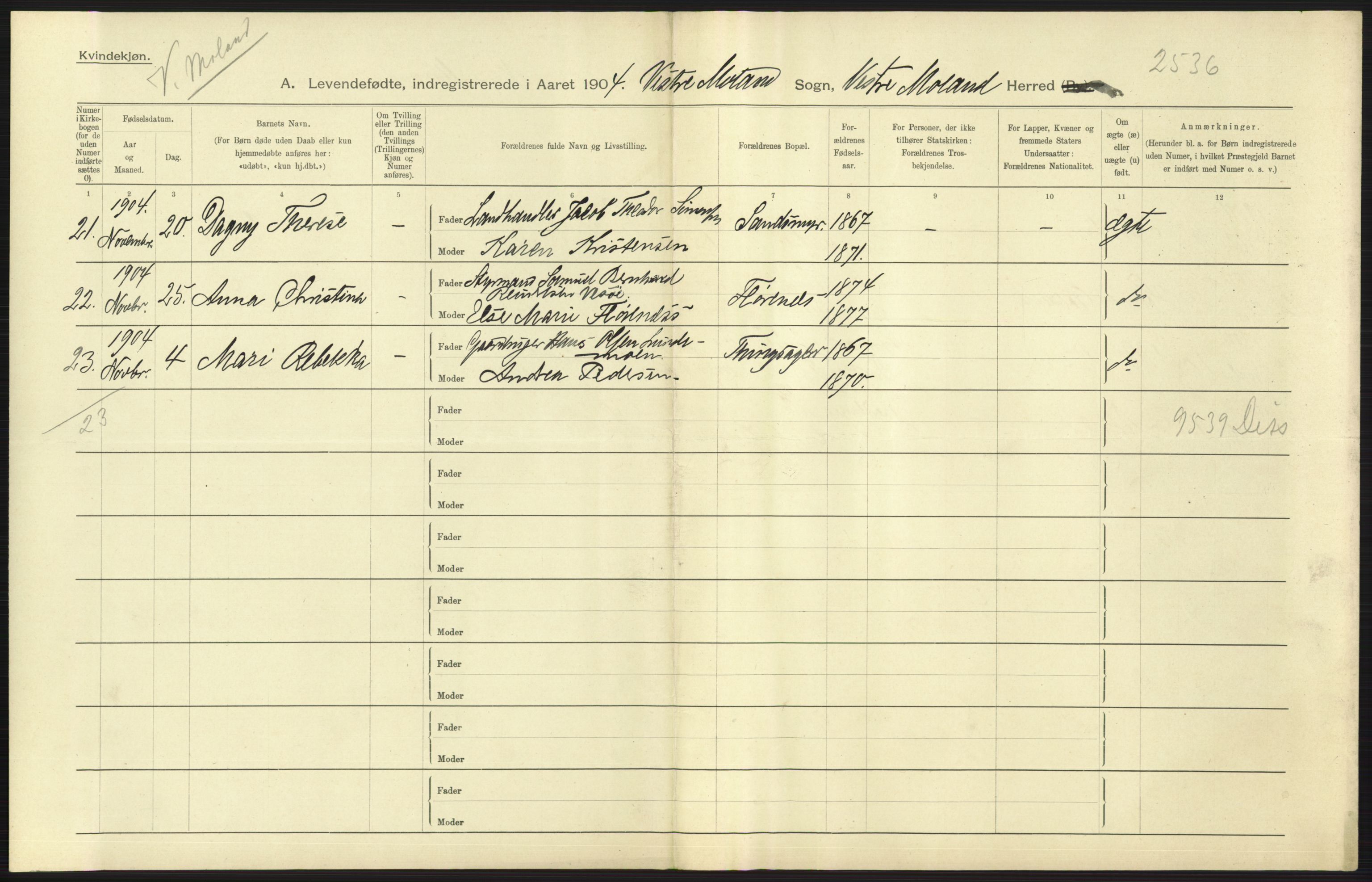 Statistisk sentralbyrå, Sosiodemografiske emner, Befolkning, AV/RA-S-2228/D/Df/Dfa/Dfab/L0010: Nedenes amt: Fødte, gifte, døde, 1904, s. 59