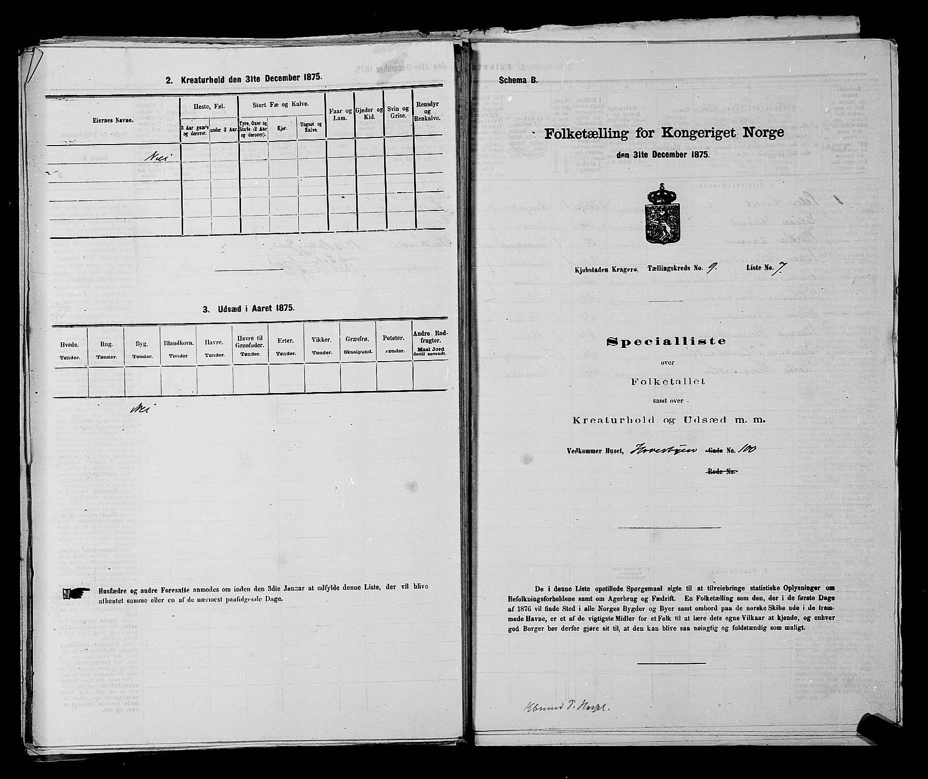 SAKO, Folketelling 1875 for 0801P Kragerø prestegjeld, 1875, s. 205