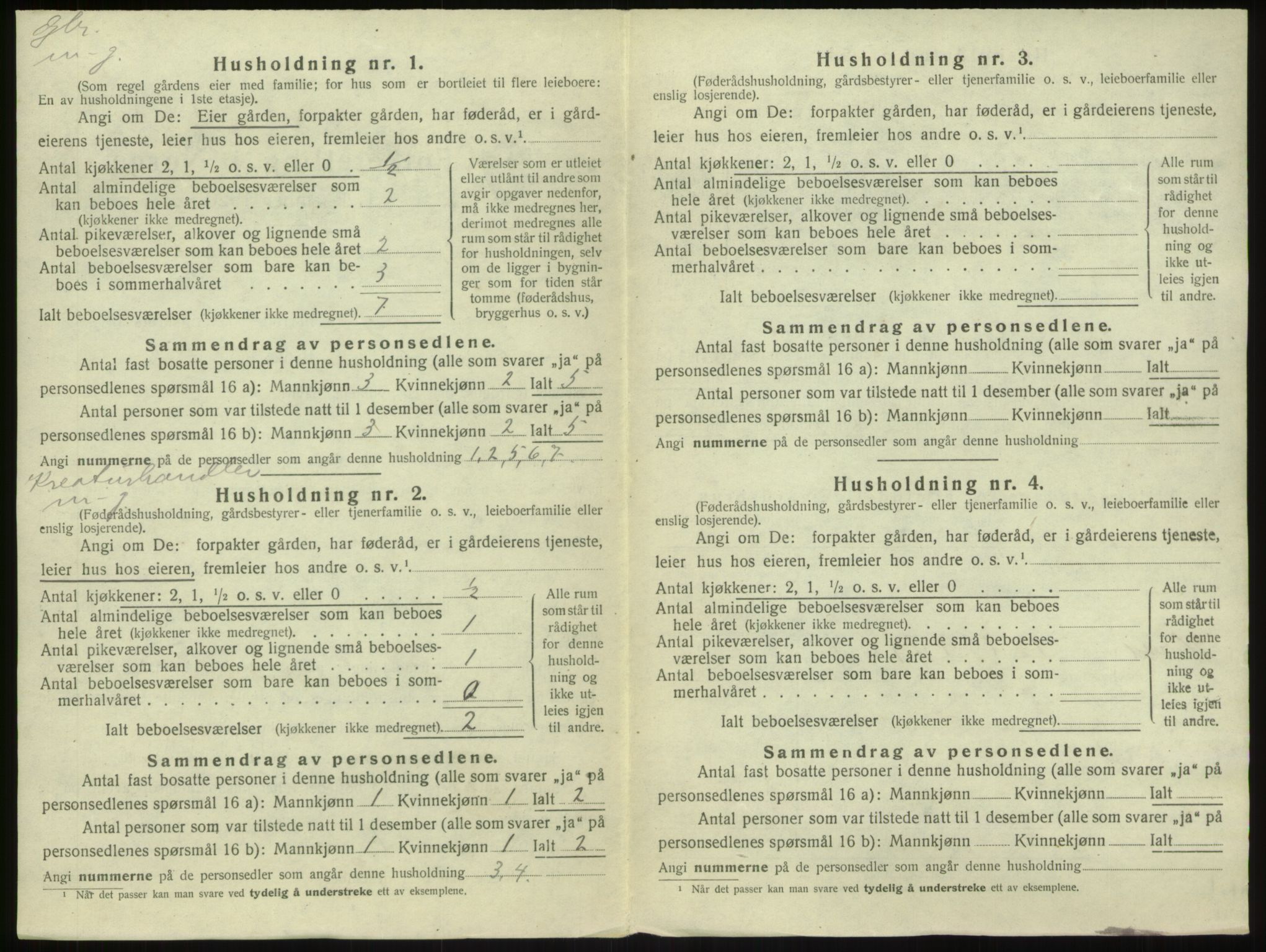 SAB, Folketelling 1920 for 1420 Sogndal herred, 1920, s. 850