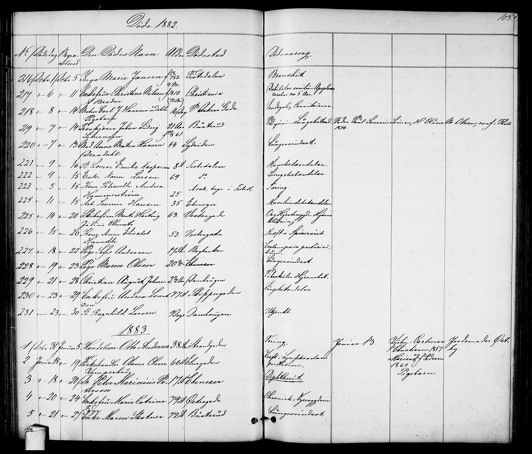 Halden prestekontor Kirkebøker, SAO/A-10909/G/Ga/L0007: Klokkerbok nr. 7, 1869-1884, s. 103