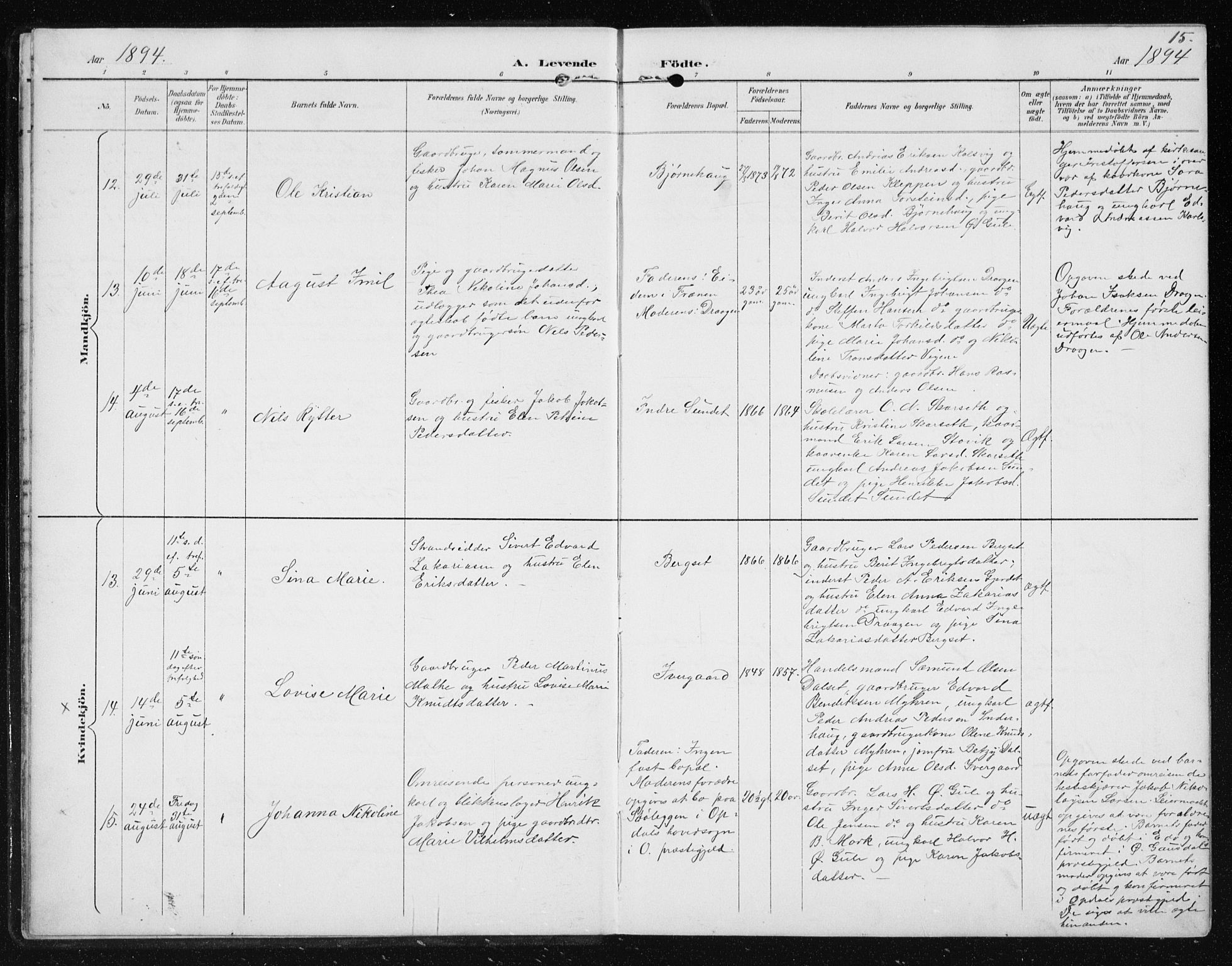 Ministerialprotokoller, klokkerbøker og fødselsregistre - Møre og Romsdal, AV/SAT-A-1454/566/L0773: Klokkerbok nr. 566C02, 1892-1909, s. 15