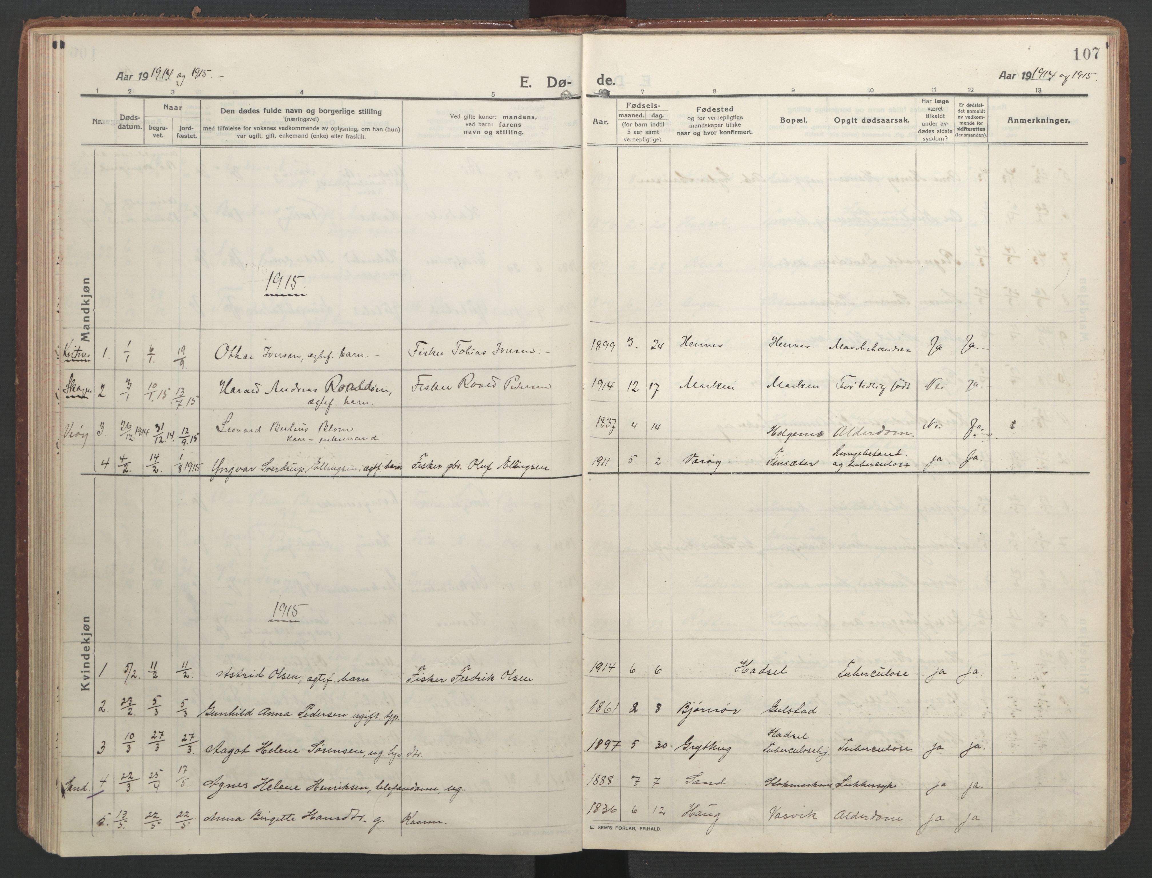 Ministerialprotokoller, klokkerbøker og fødselsregistre - Nordland, AV/SAT-A-1459/888/L1251: Ministerialbok nr. 888A17, 1913-1925, s. 107