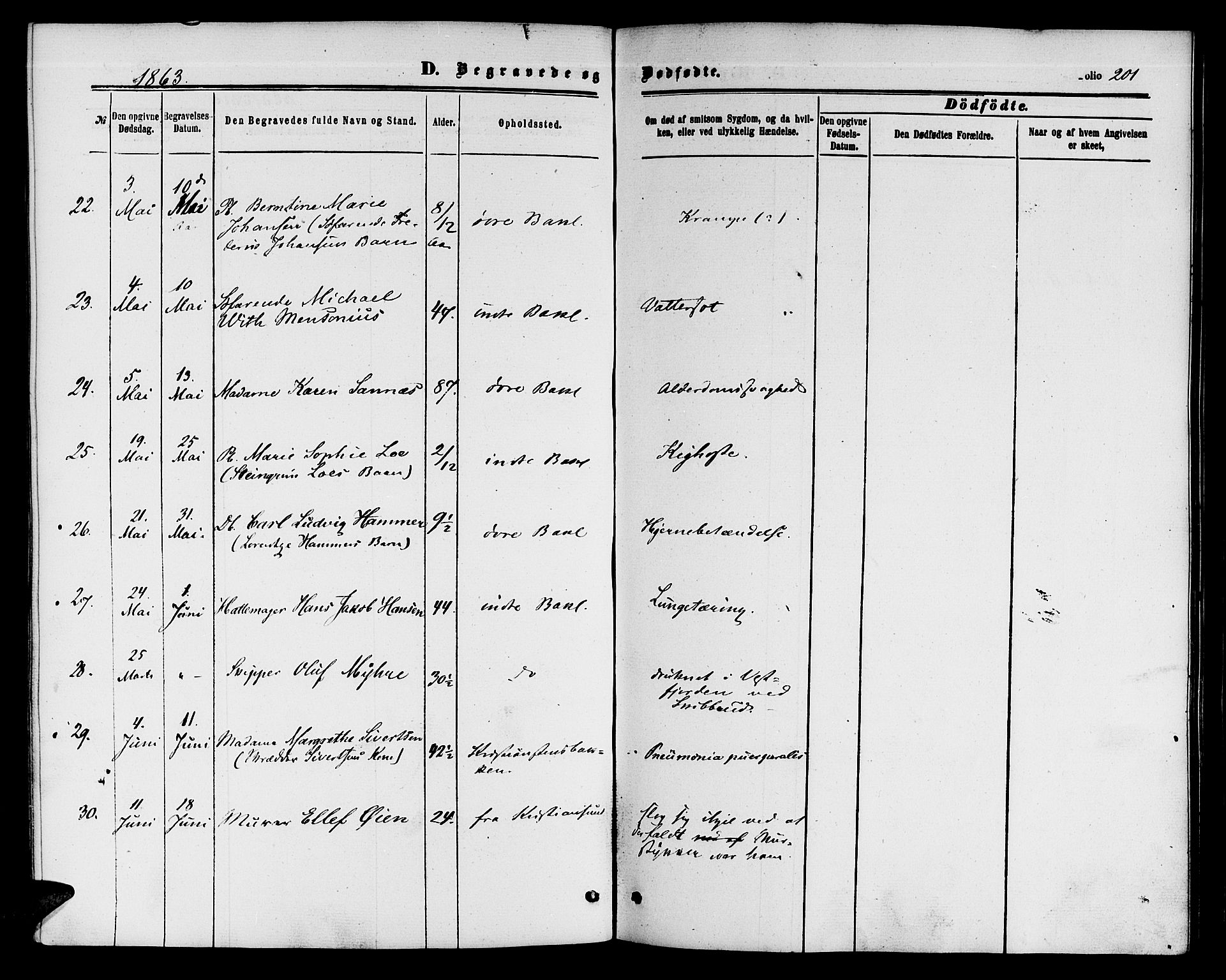 Ministerialprotokoller, klokkerbøker og fødselsregistre - Sør-Trøndelag, SAT/A-1456/604/L0185: Ministerialbok nr. 604A06, 1861-1865, s. 201