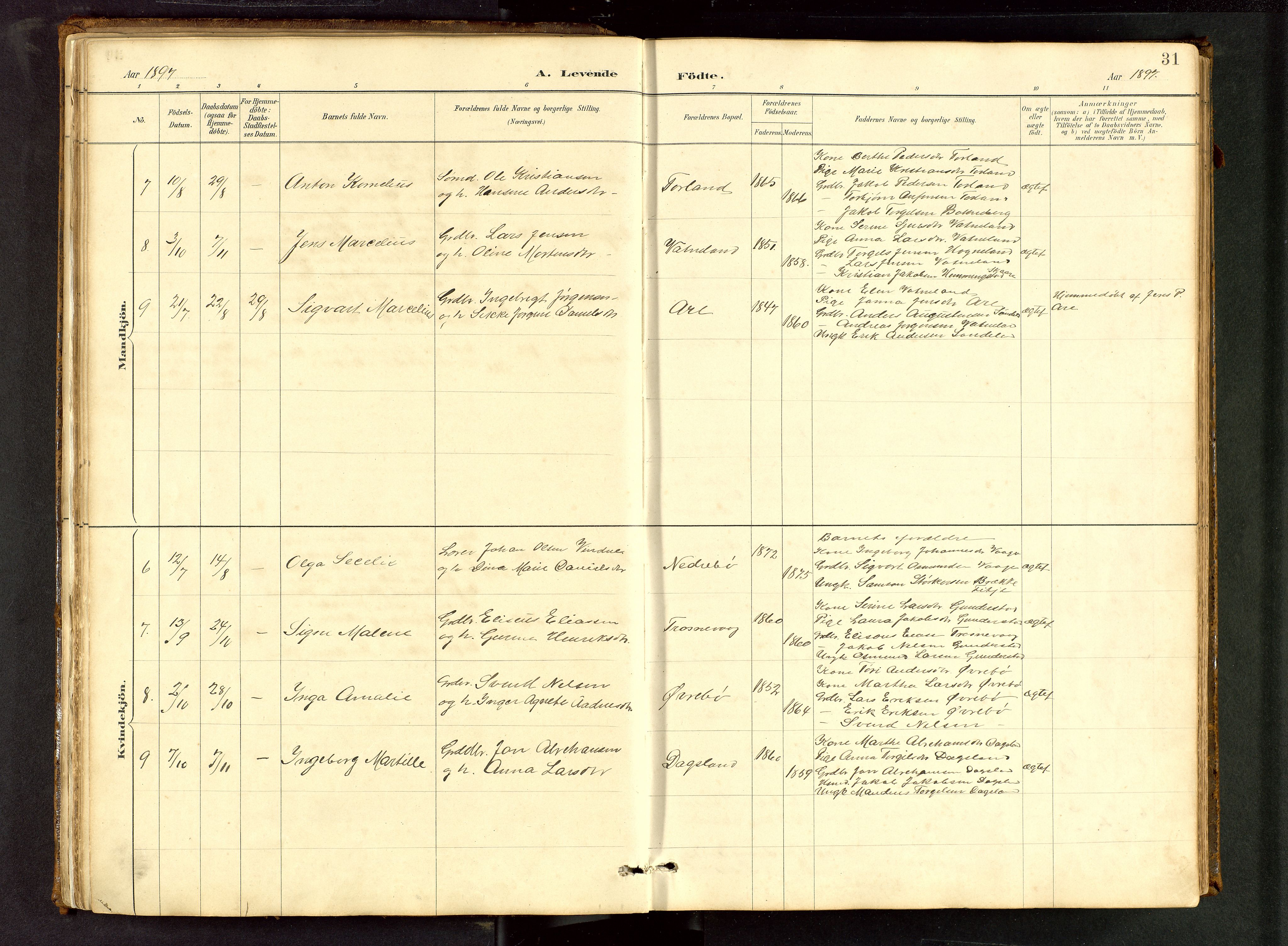 Tysvær sokneprestkontor, AV/SAST-A -101864/H/Ha/Hab/L0005: Klokkerbok nr. B 5, 1887-1947, s. 31