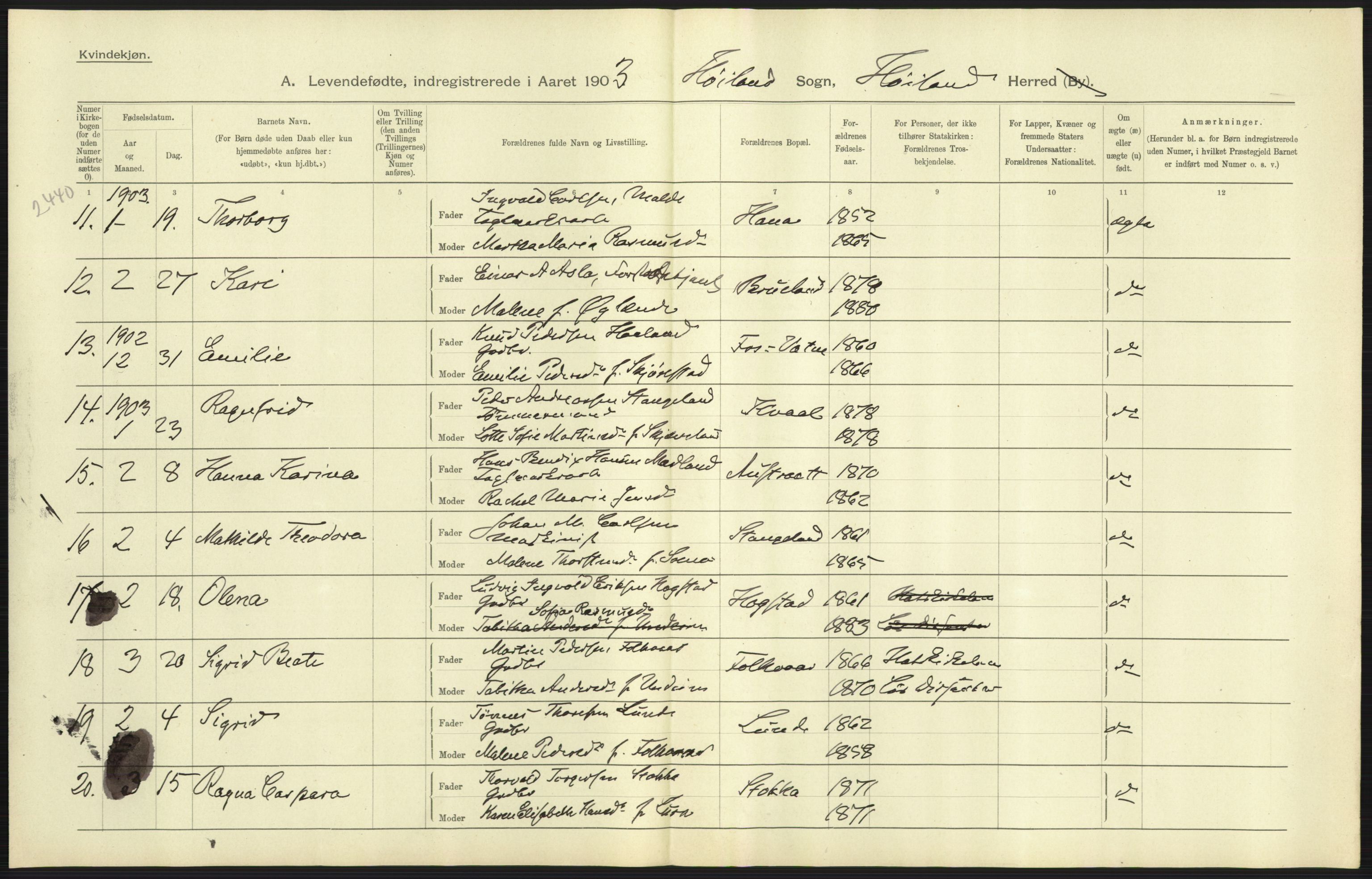 Statistisk sentralbyrå, Sosiodemografiske emner, Befolkning, AV/RA-S-2228/D/Df/Dfa/Dfaa/L0012: Stavanger amt: Fødte, gifte, døde, 1903, s. 13