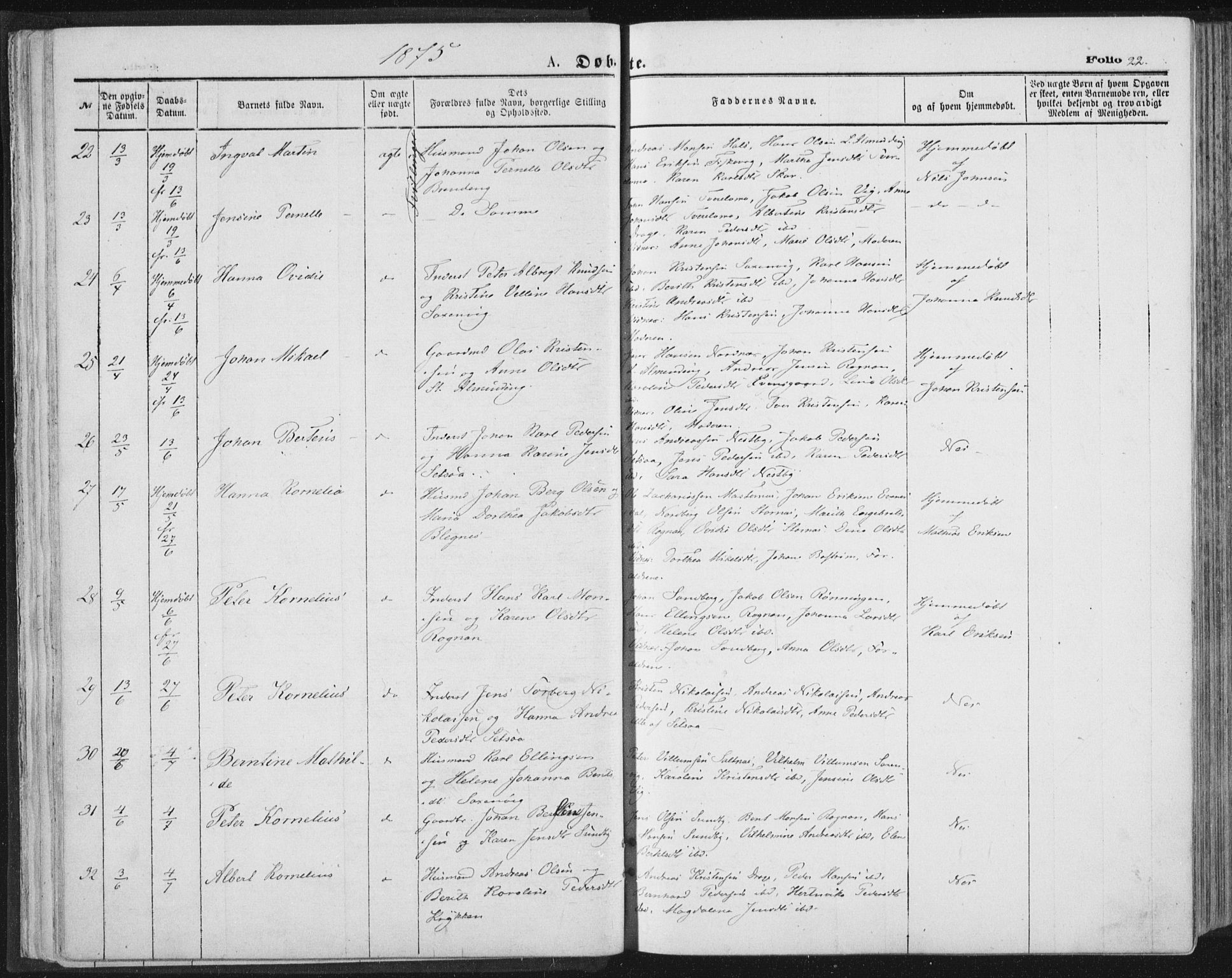 Ministerialprotokoller, klokkerbøker og fødselsregistre - Nordland, AV/SAT-A-1459/847/L0668: Ministerialbok nr. 847A08, 1872-1886, s. 22